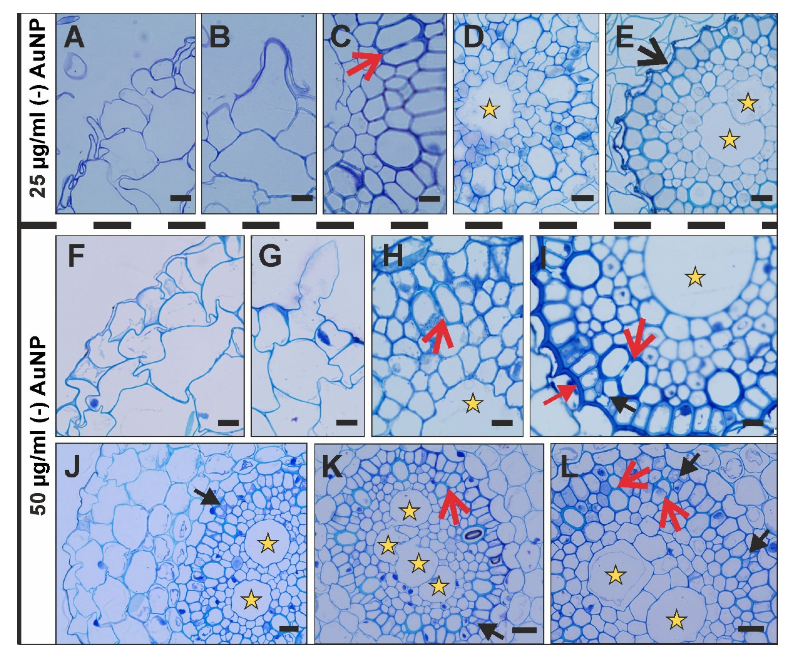 Applsci 12 03265 g003