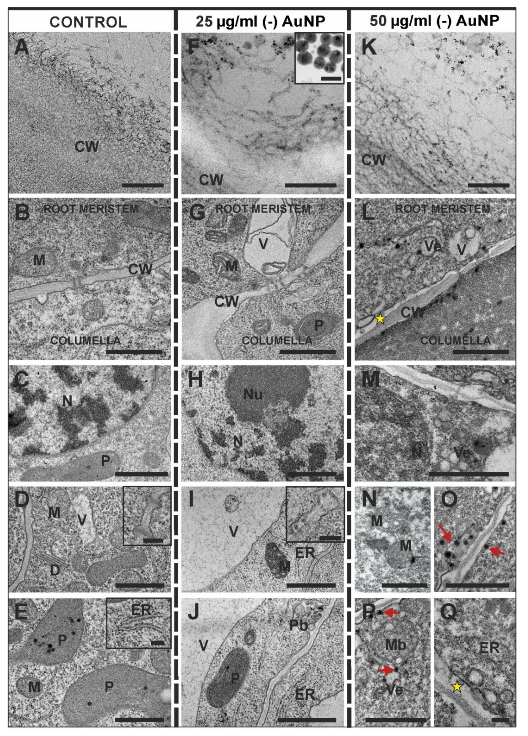 Applsci 12 03265 g004