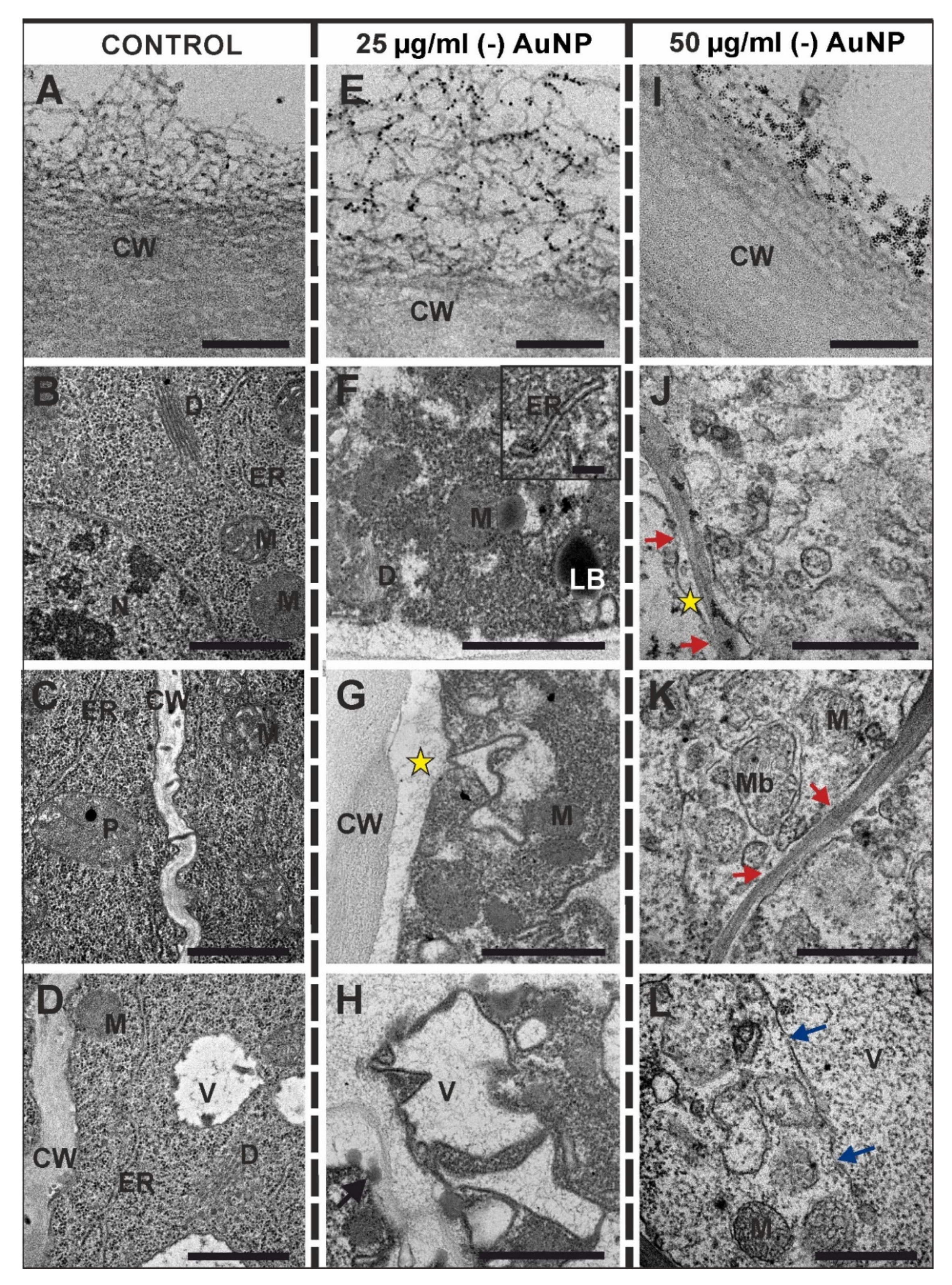 Applsci 12 03265 g005