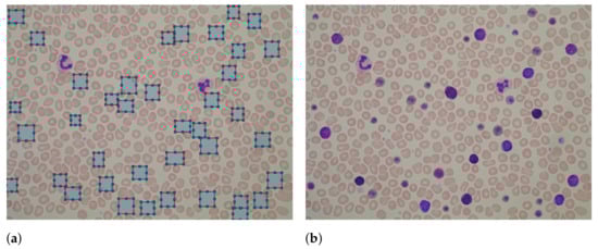 Applsci 12 03269 g003