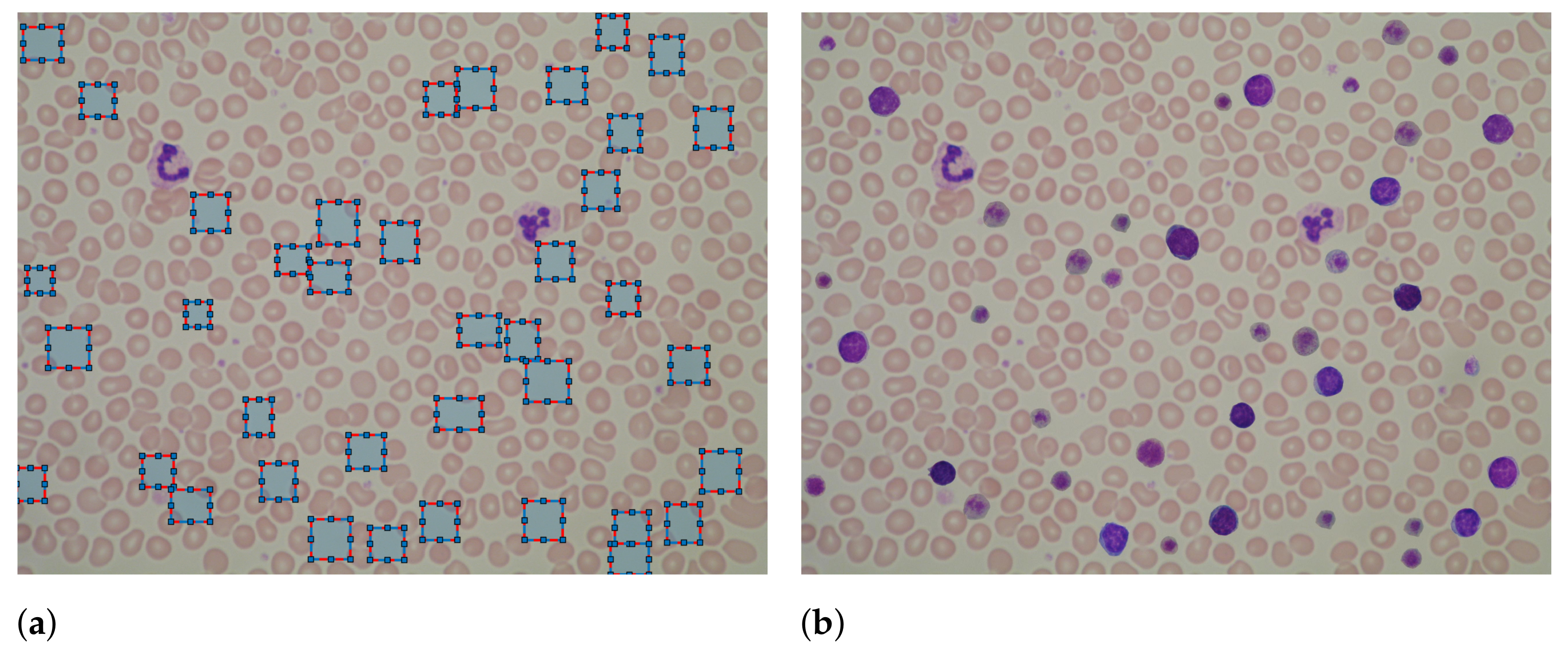 Applsci 12 03269 g003