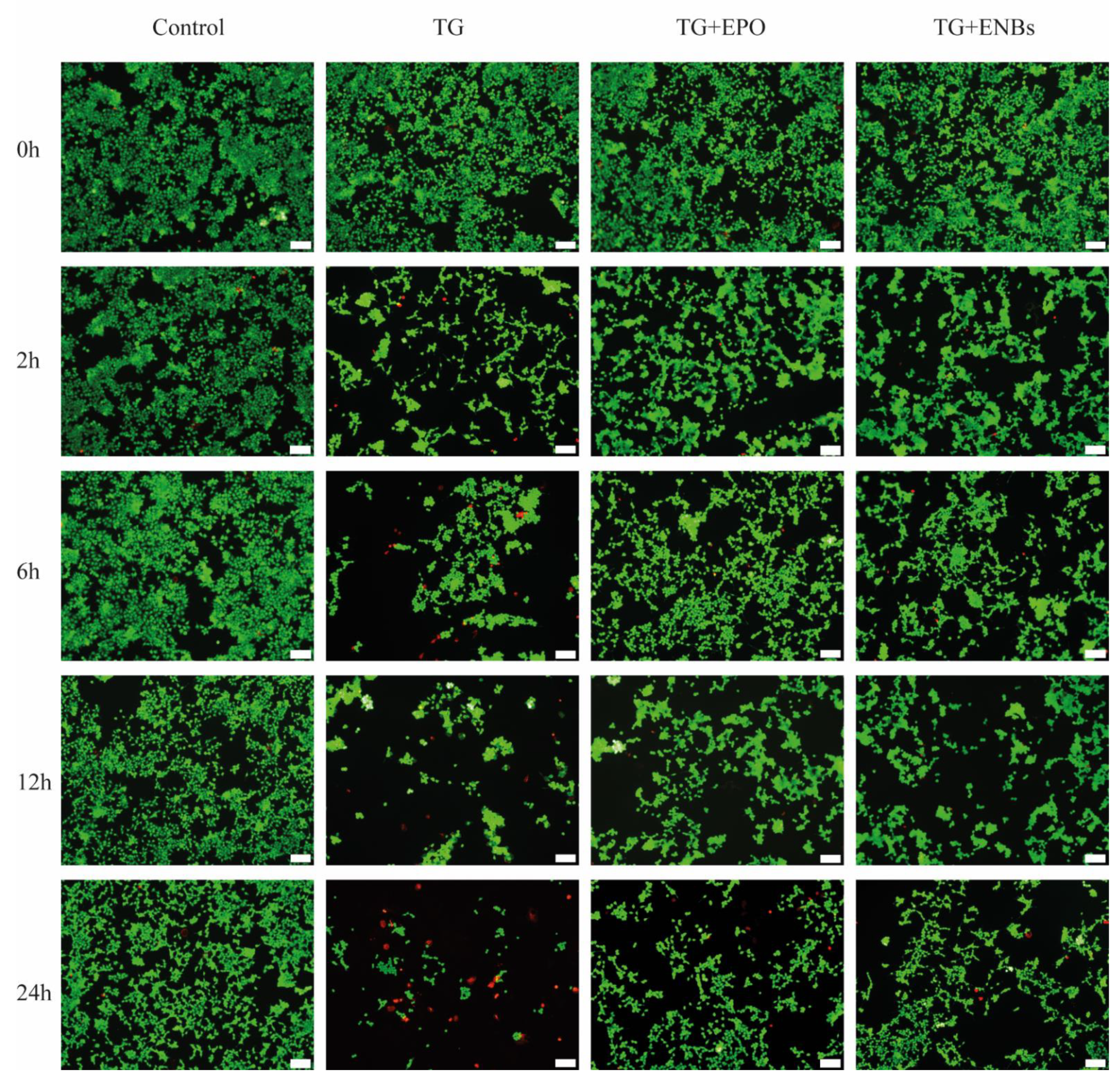 Applsci 12 03351 g002