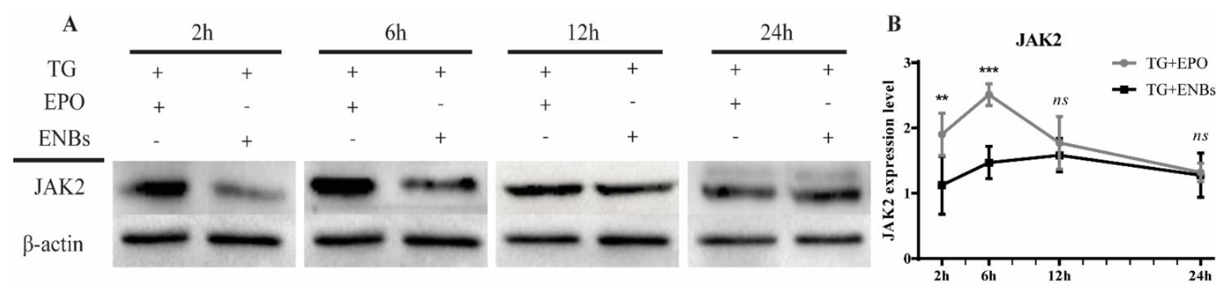 Applsci 12 03351 g004