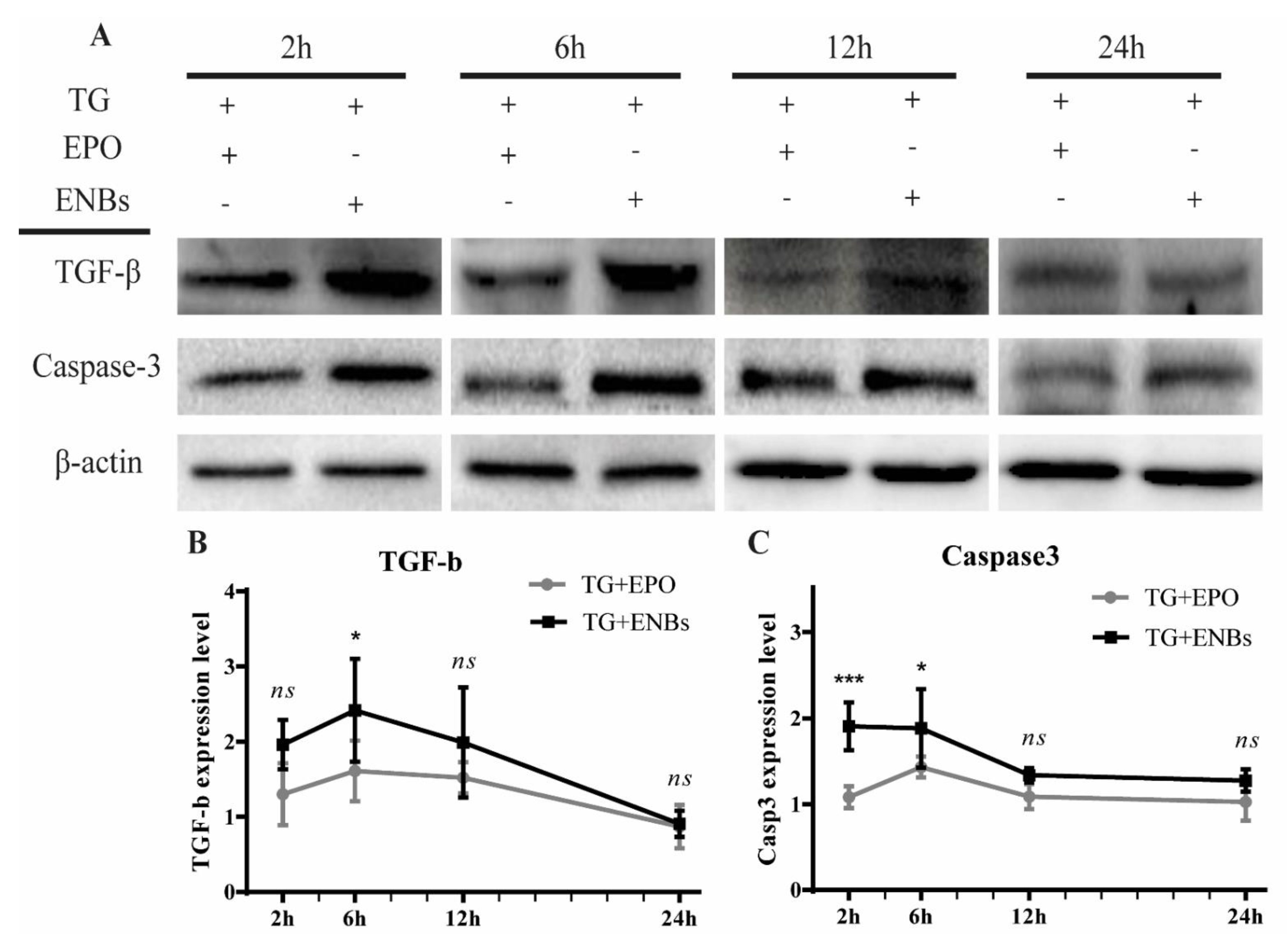 Applsci 12 03351 g006