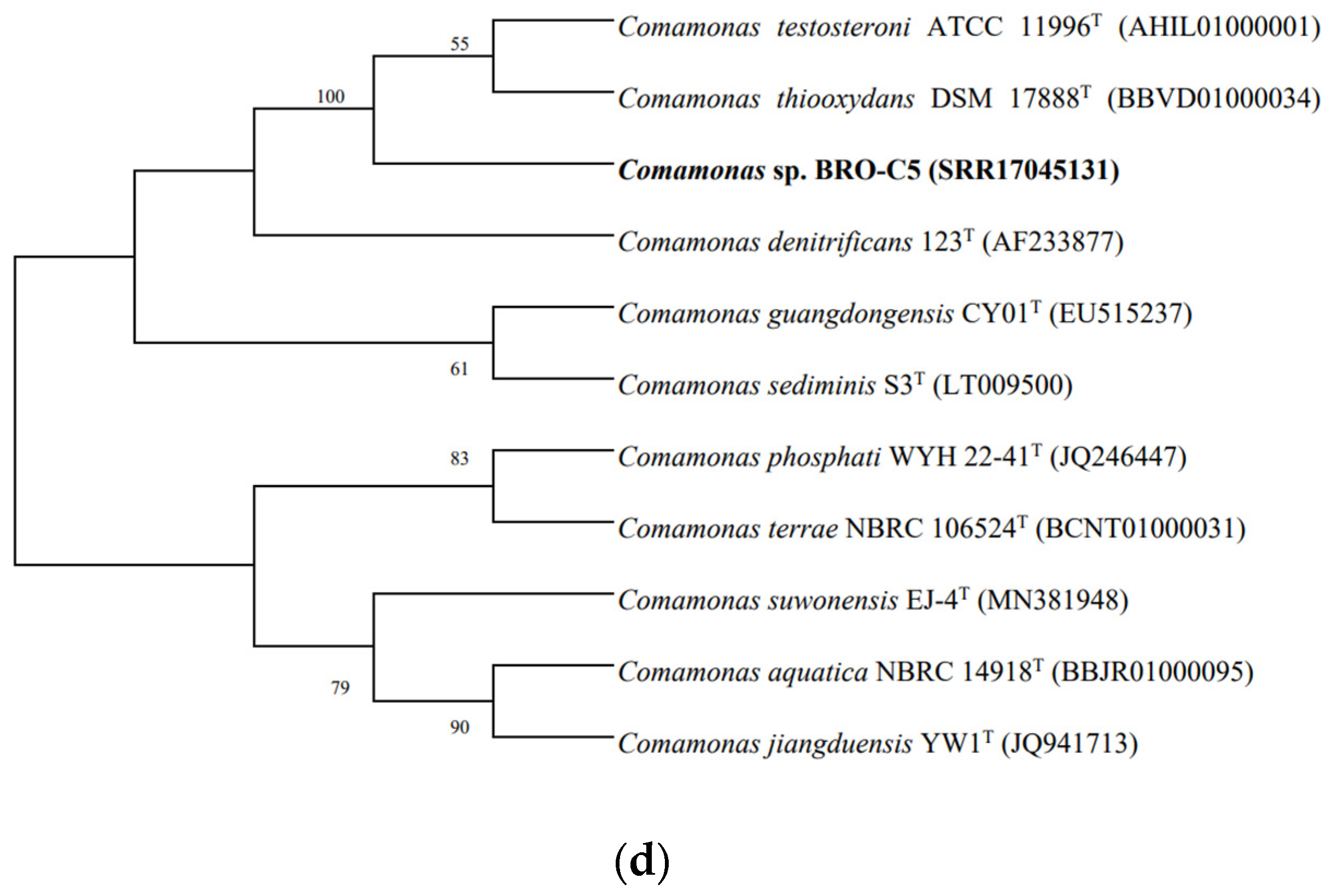 Applsci 12 03370 g005b Applsci 12 03370 g005b