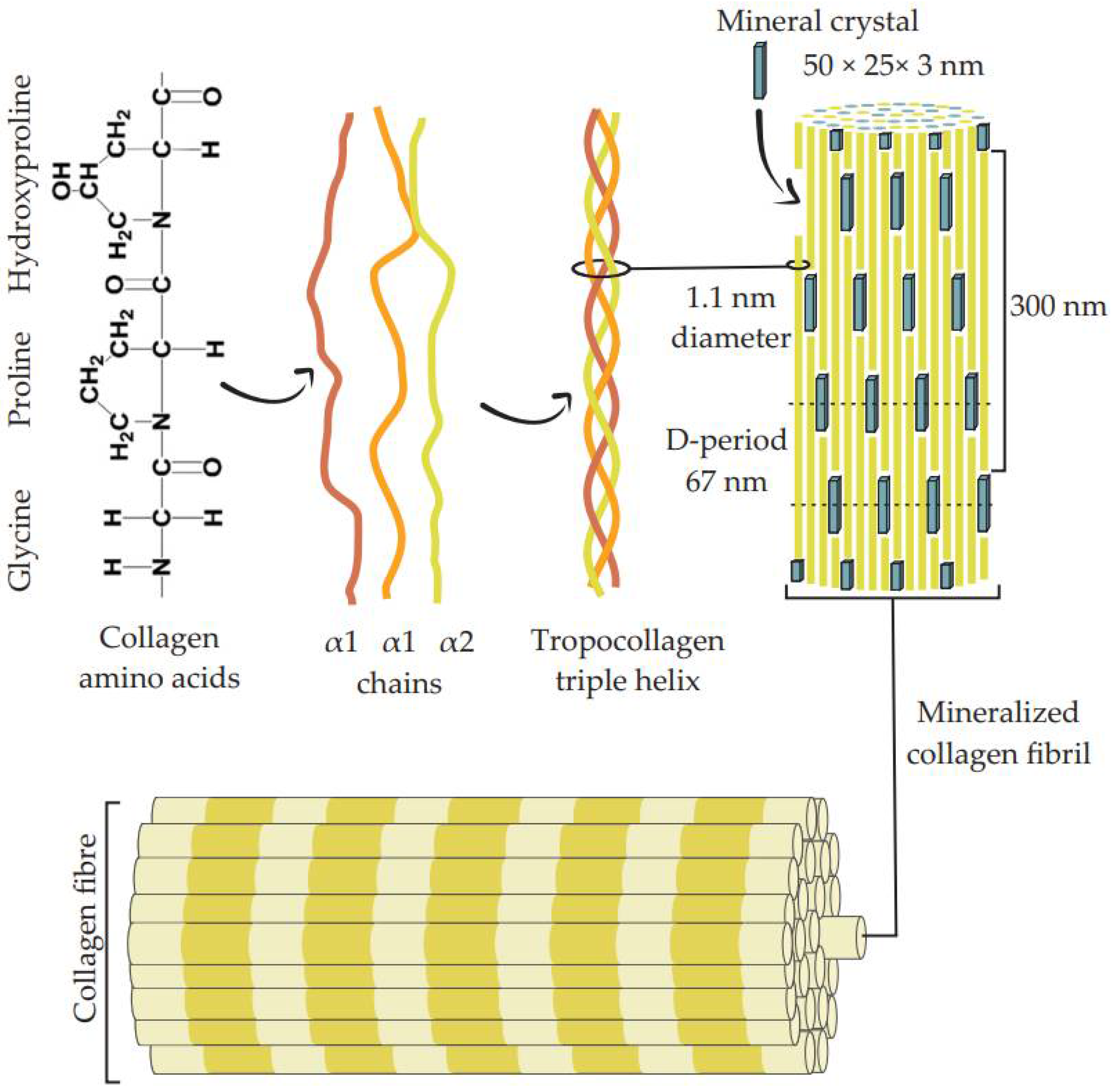 Applsci 12 03381 g001