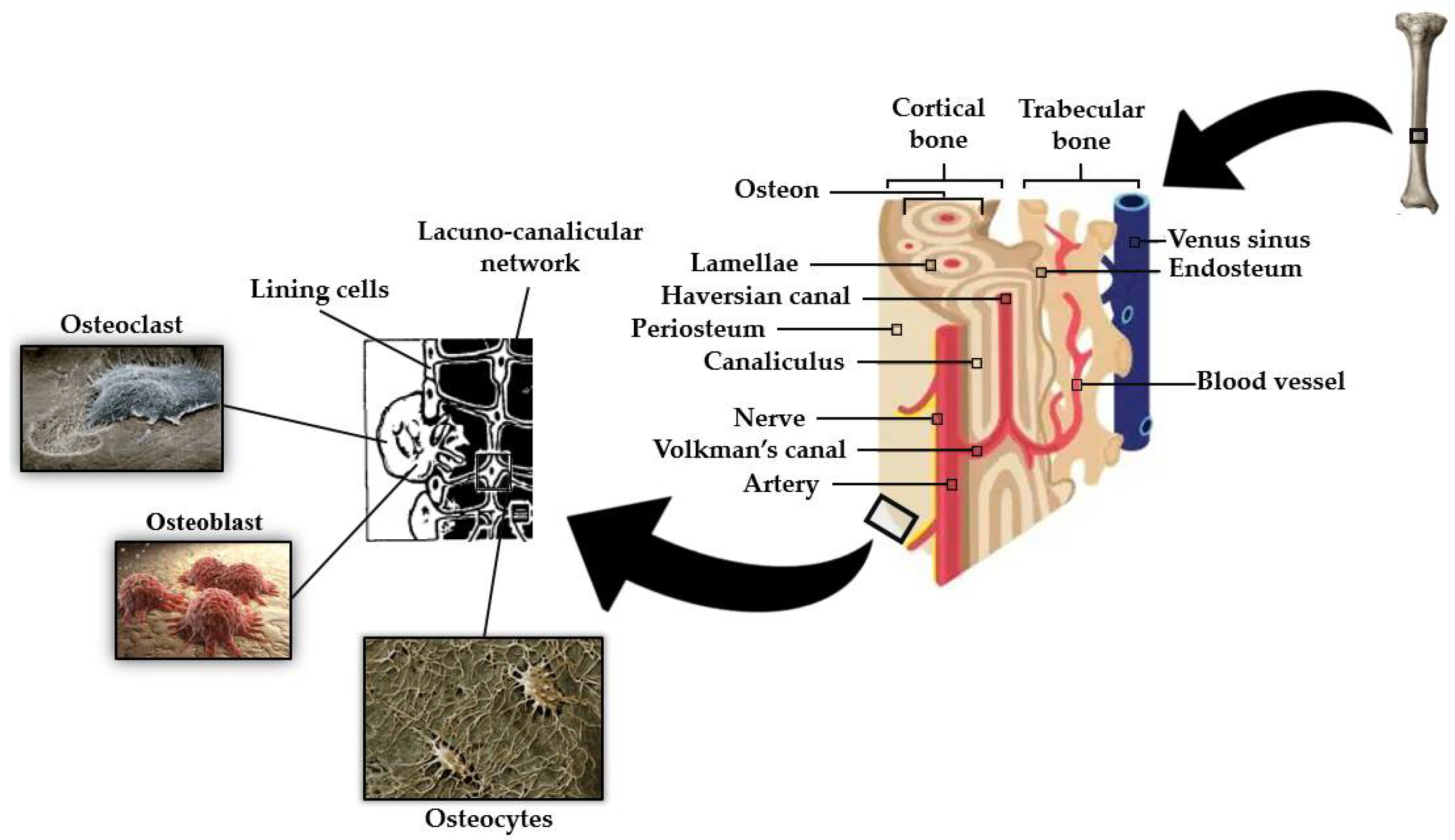 Applsci 12 03381 g002