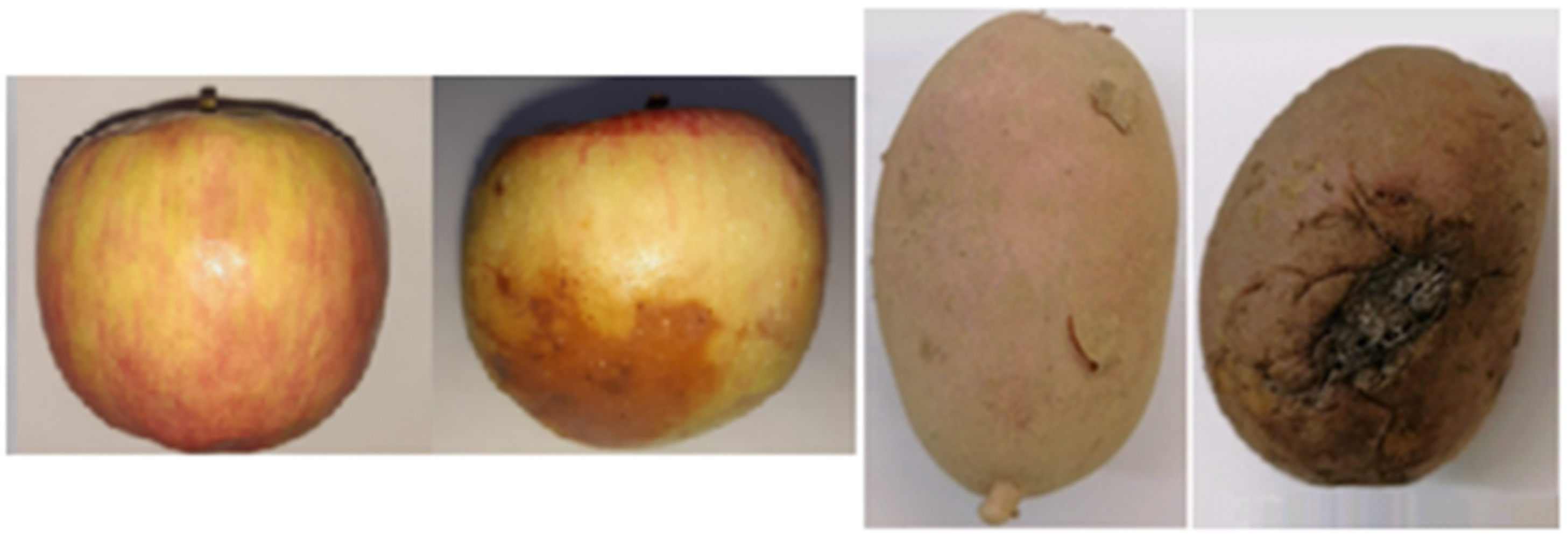 Applsci 12 03391 g002