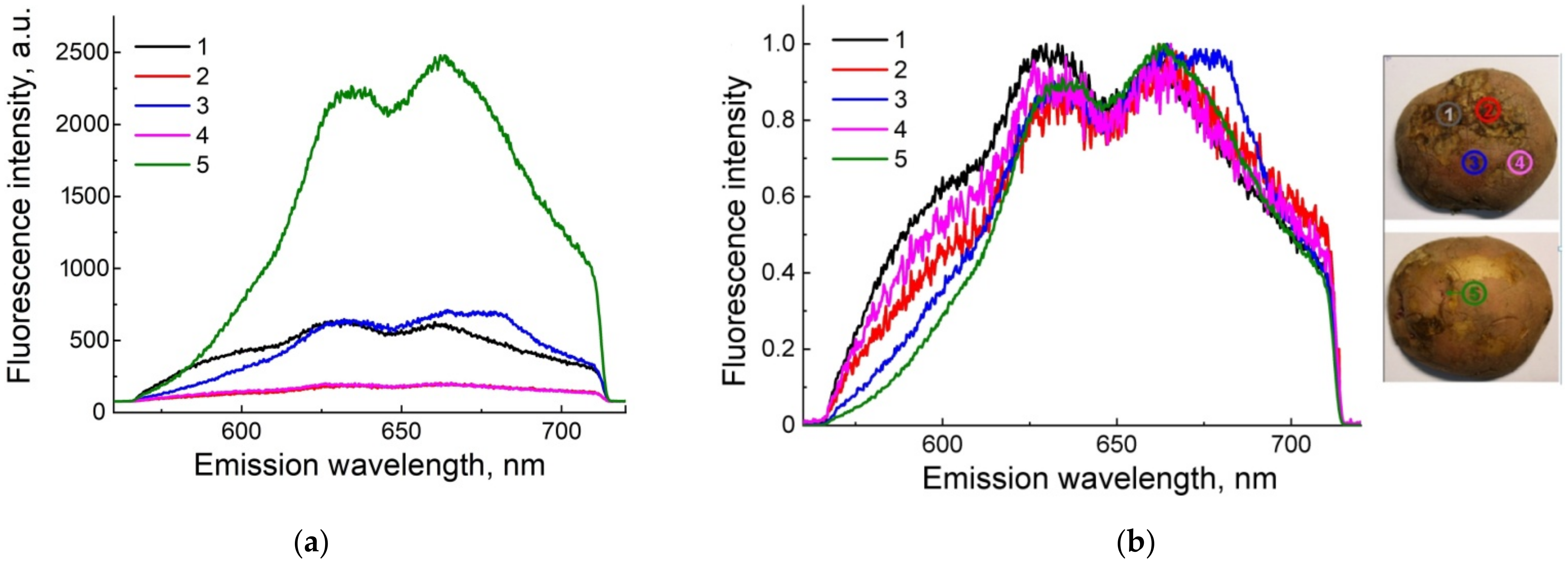 Applsci 12 03391 g012
