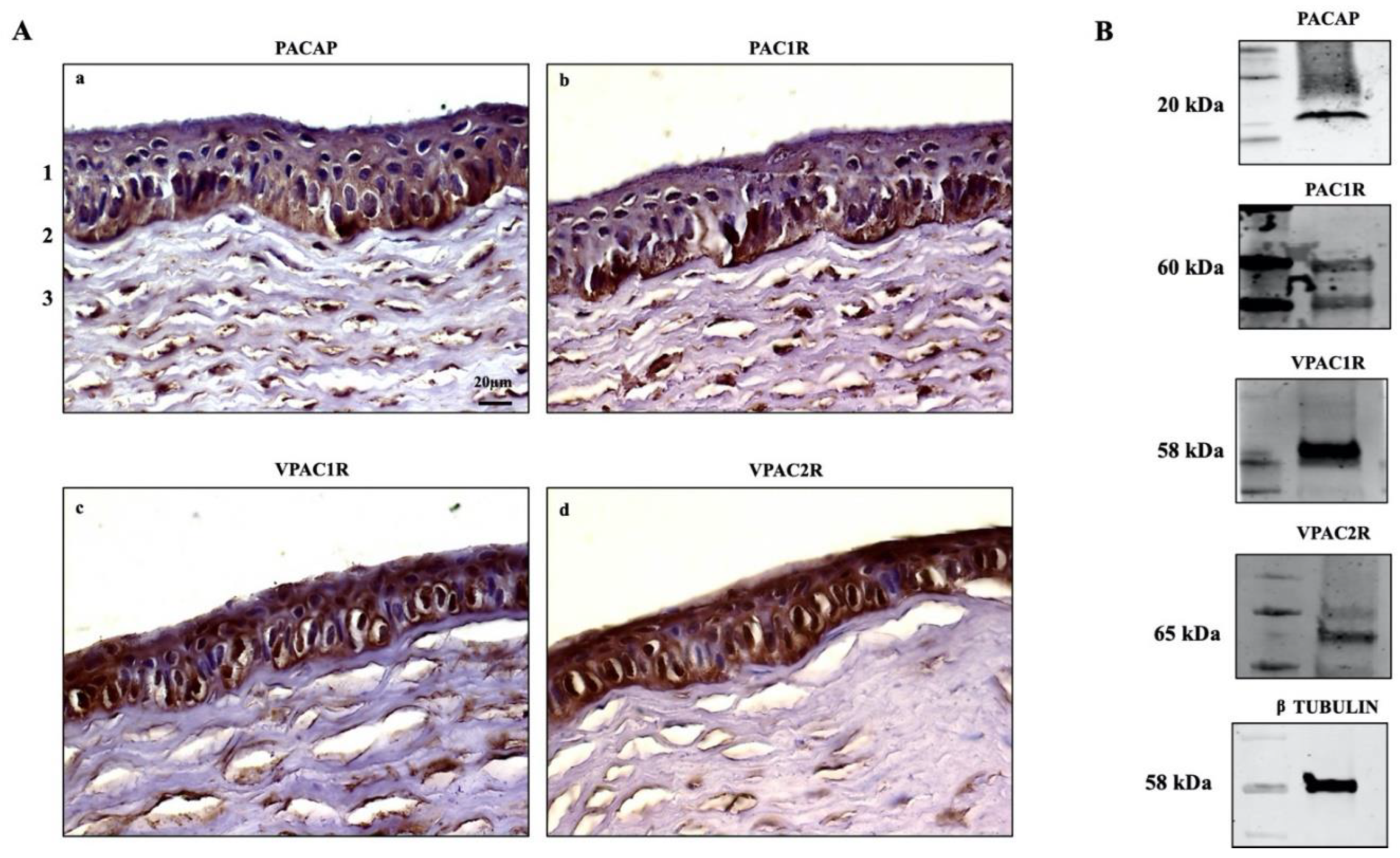 Applsci 12 03435 g001