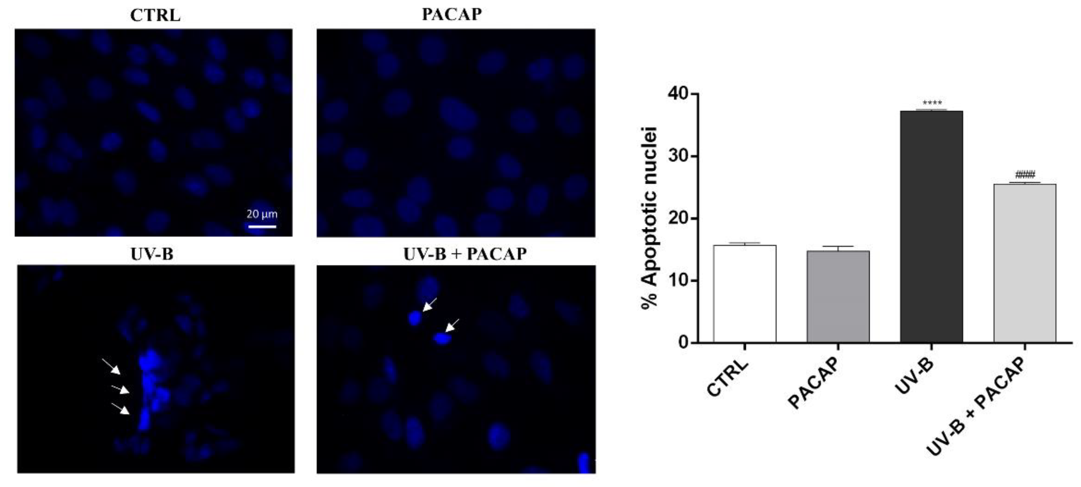 Applsci 12 03435 g003