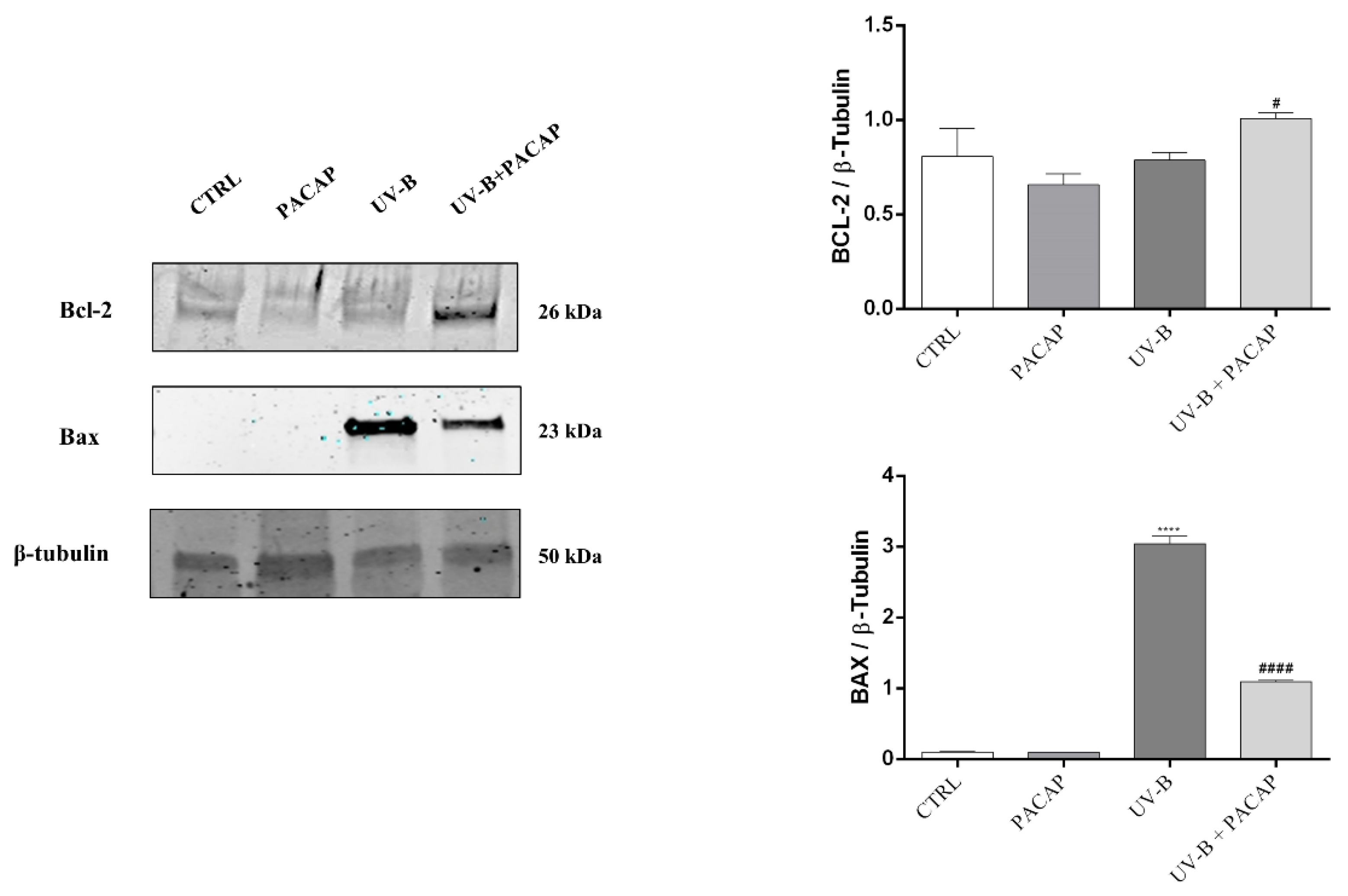 Applsci 12 03435 g004