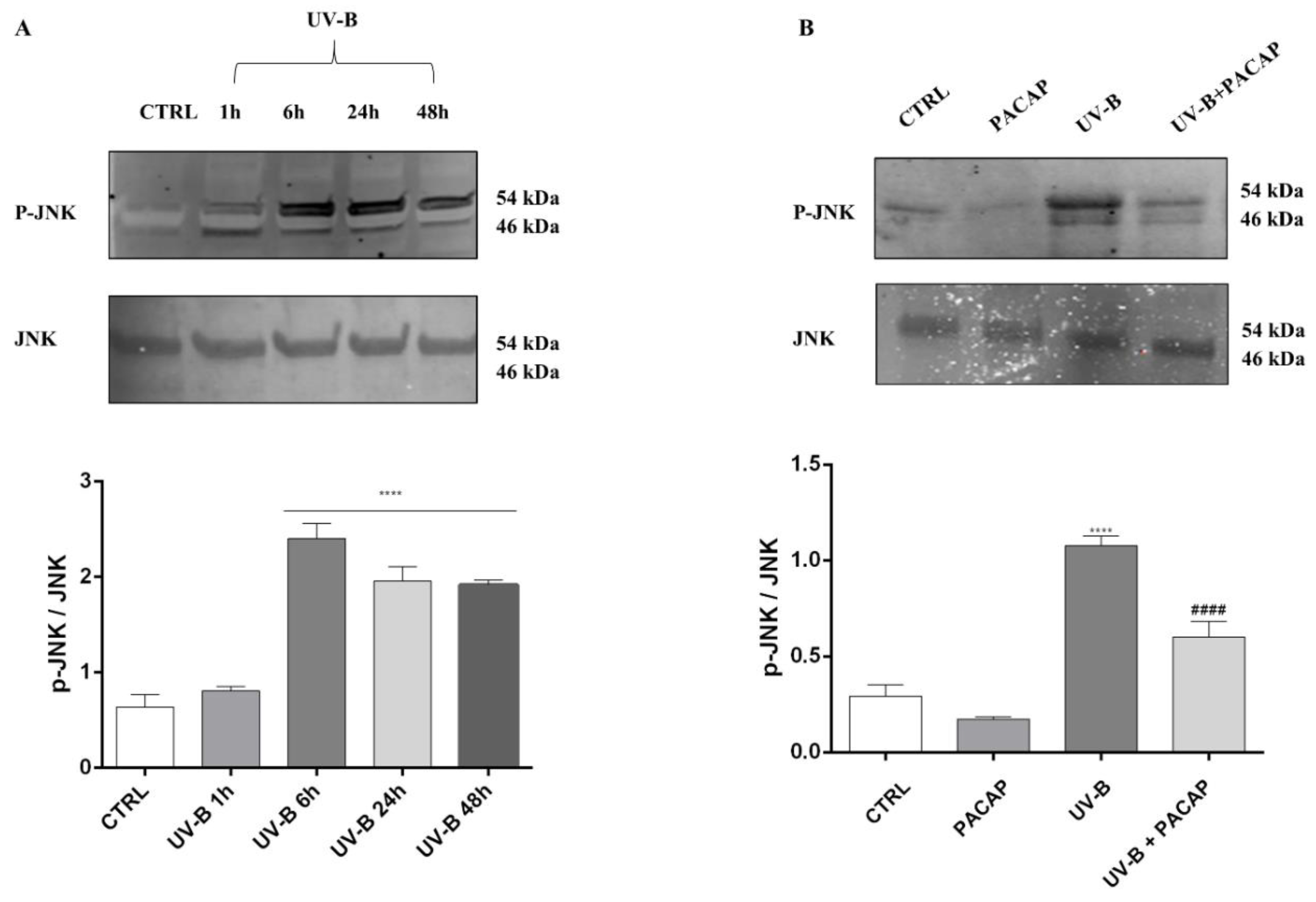Applsci 12 03435 g006