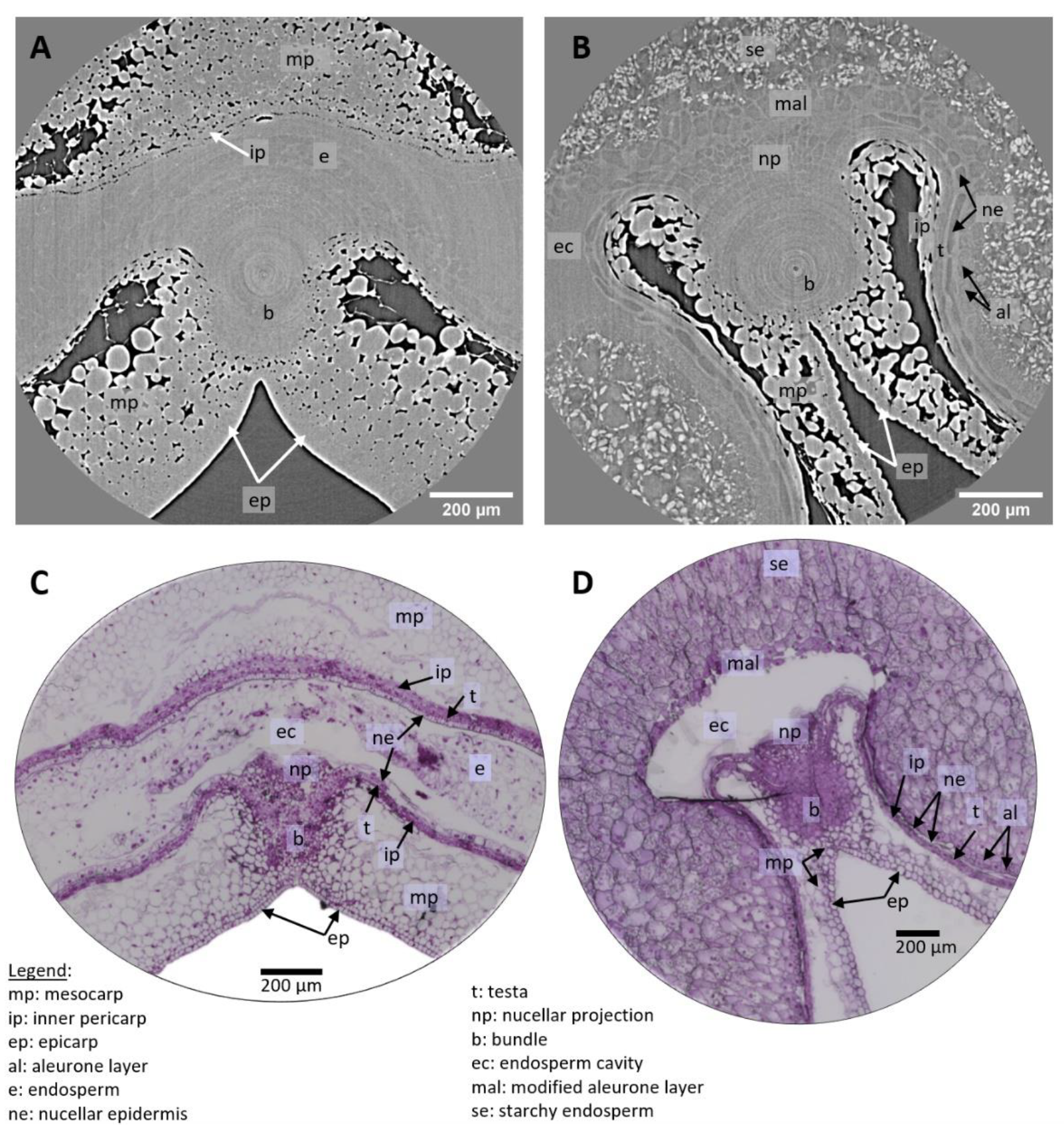 Applsci 12 03454 g005