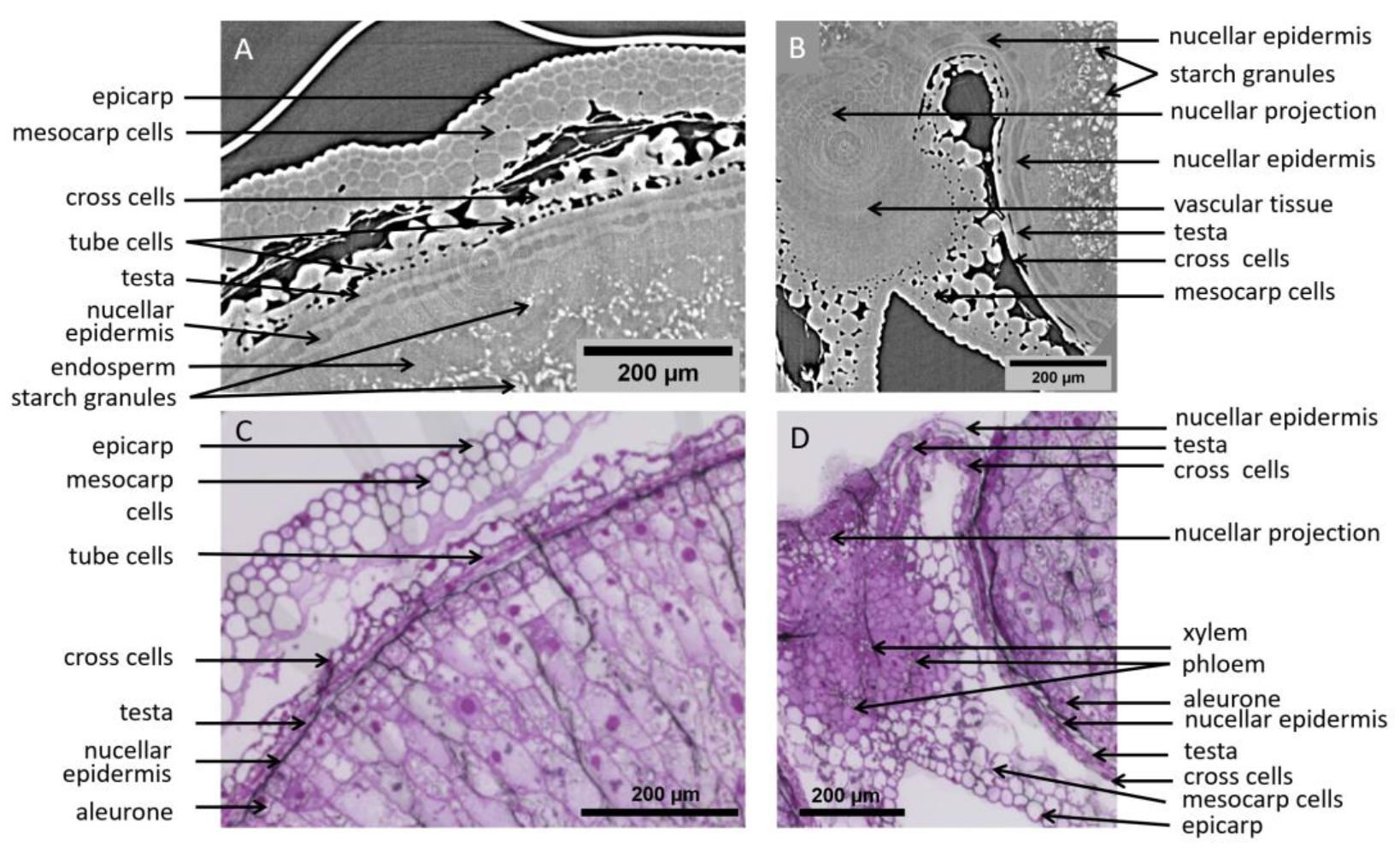 Applsci 12 03454 g006