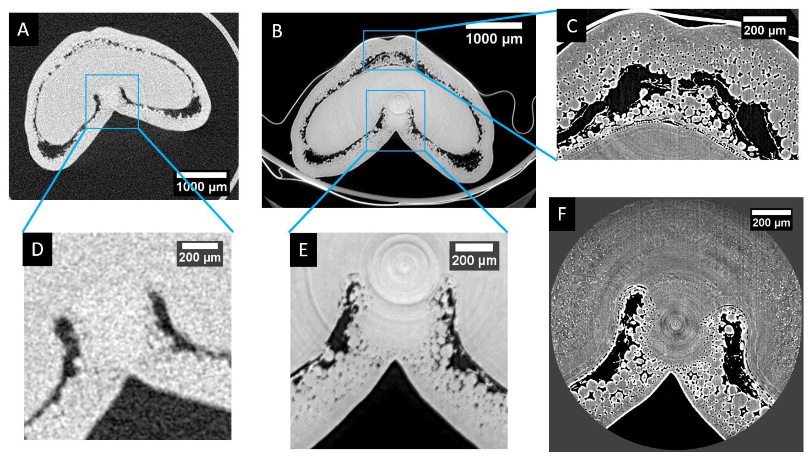 Applsci 12 03454 g007