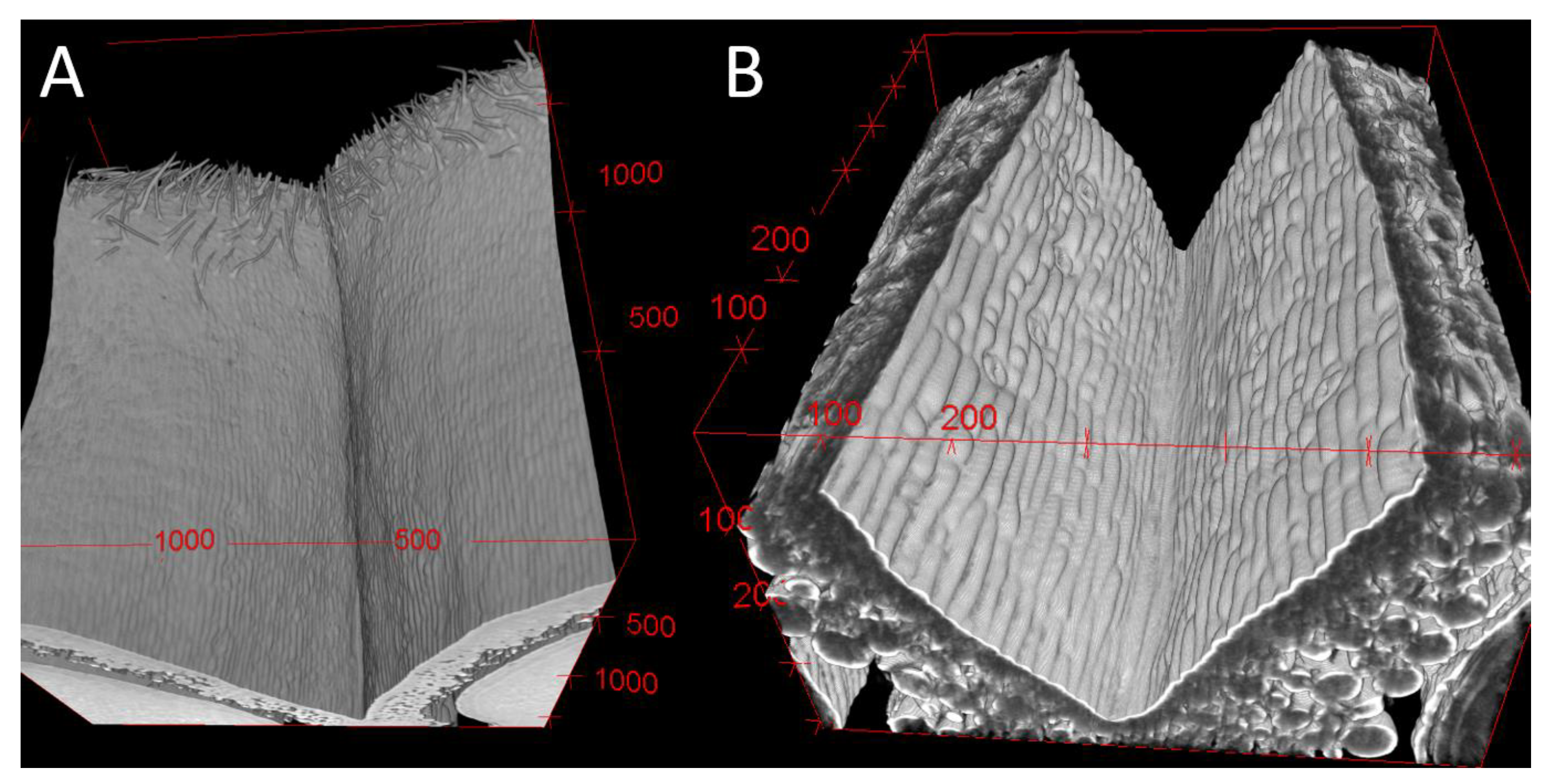 Applsci 12 03454 g008