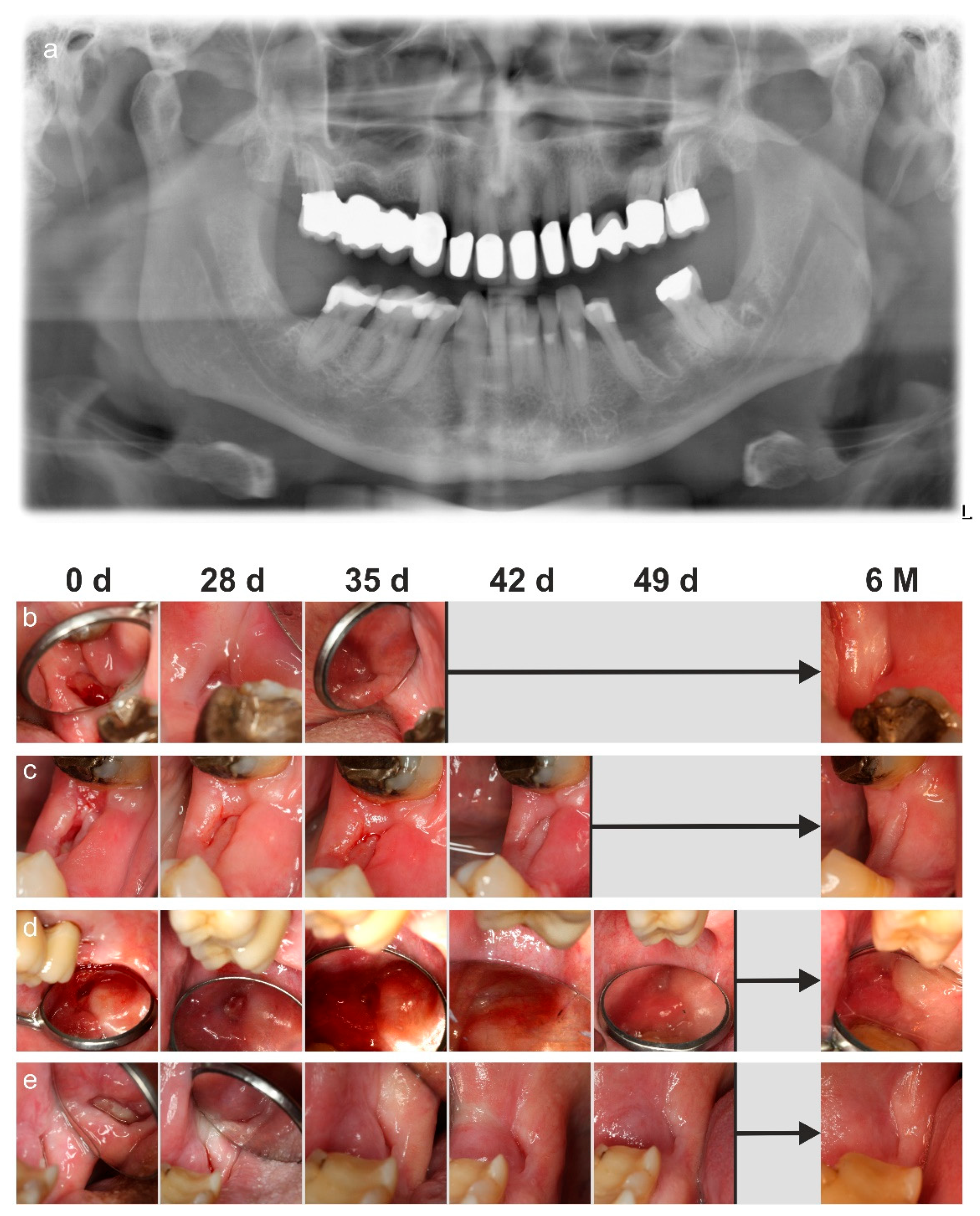 Applsci 12 03490 g002