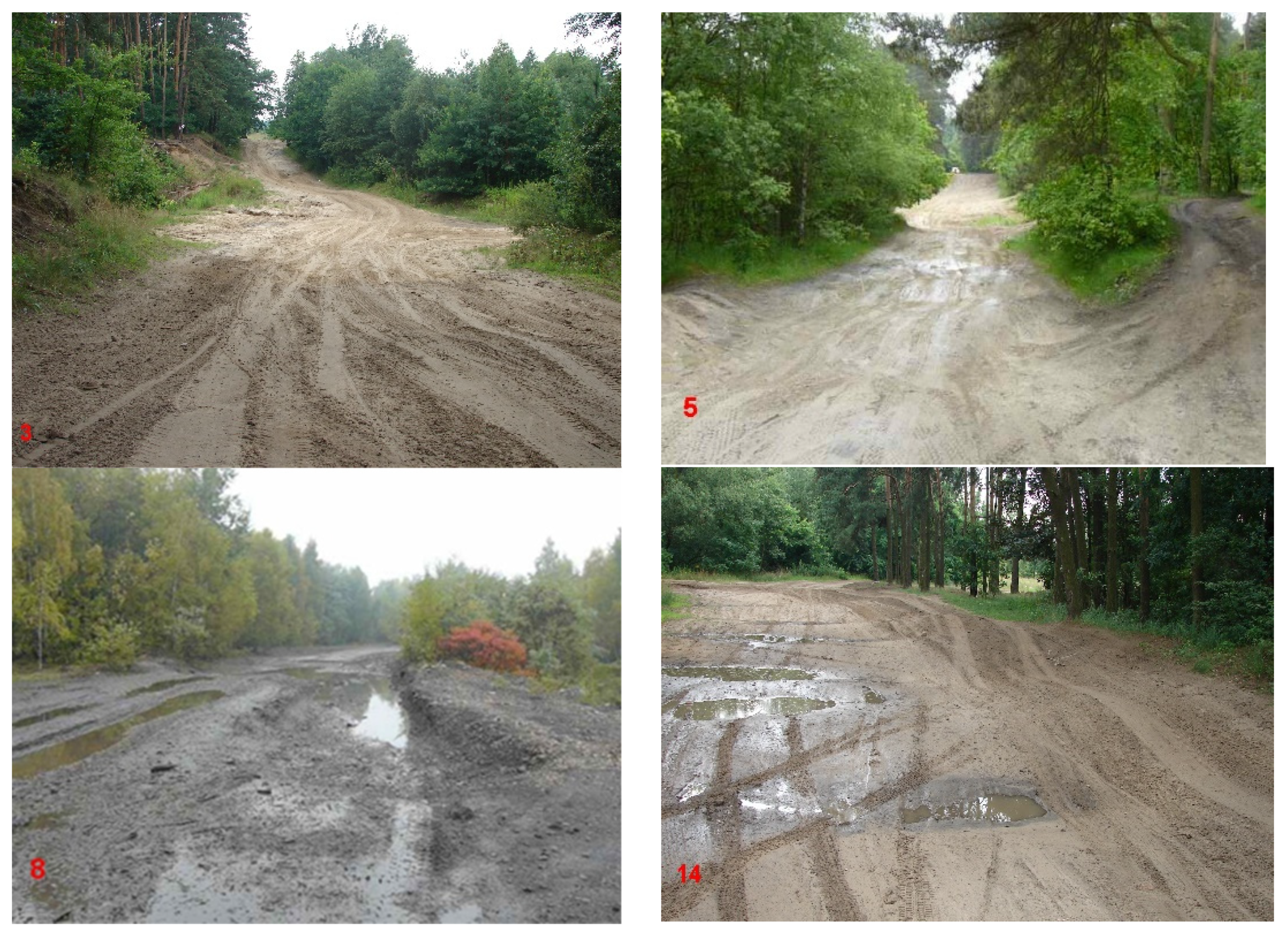 Applsci 12 03513 g005