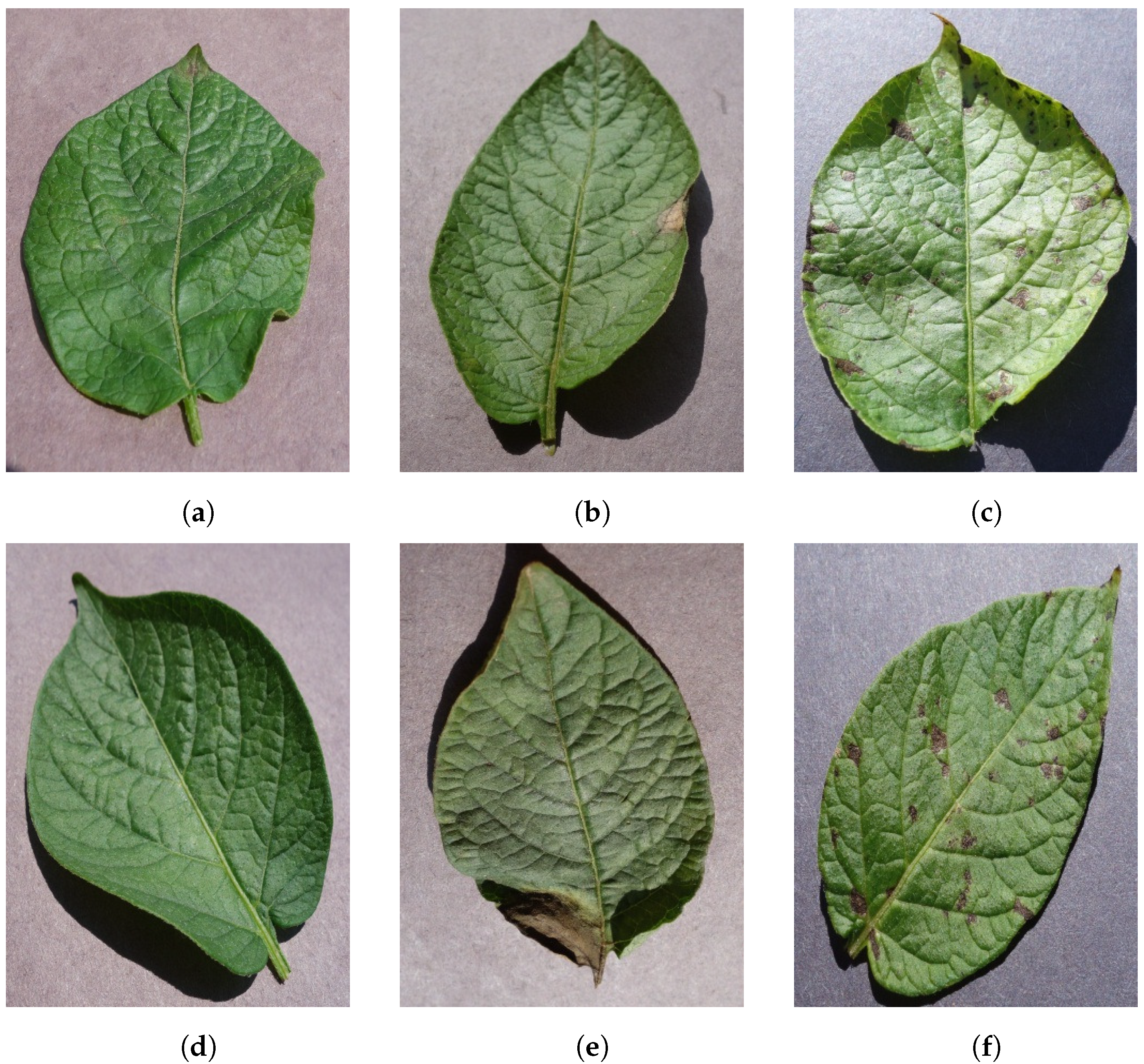 Applsci 12 03514 g001