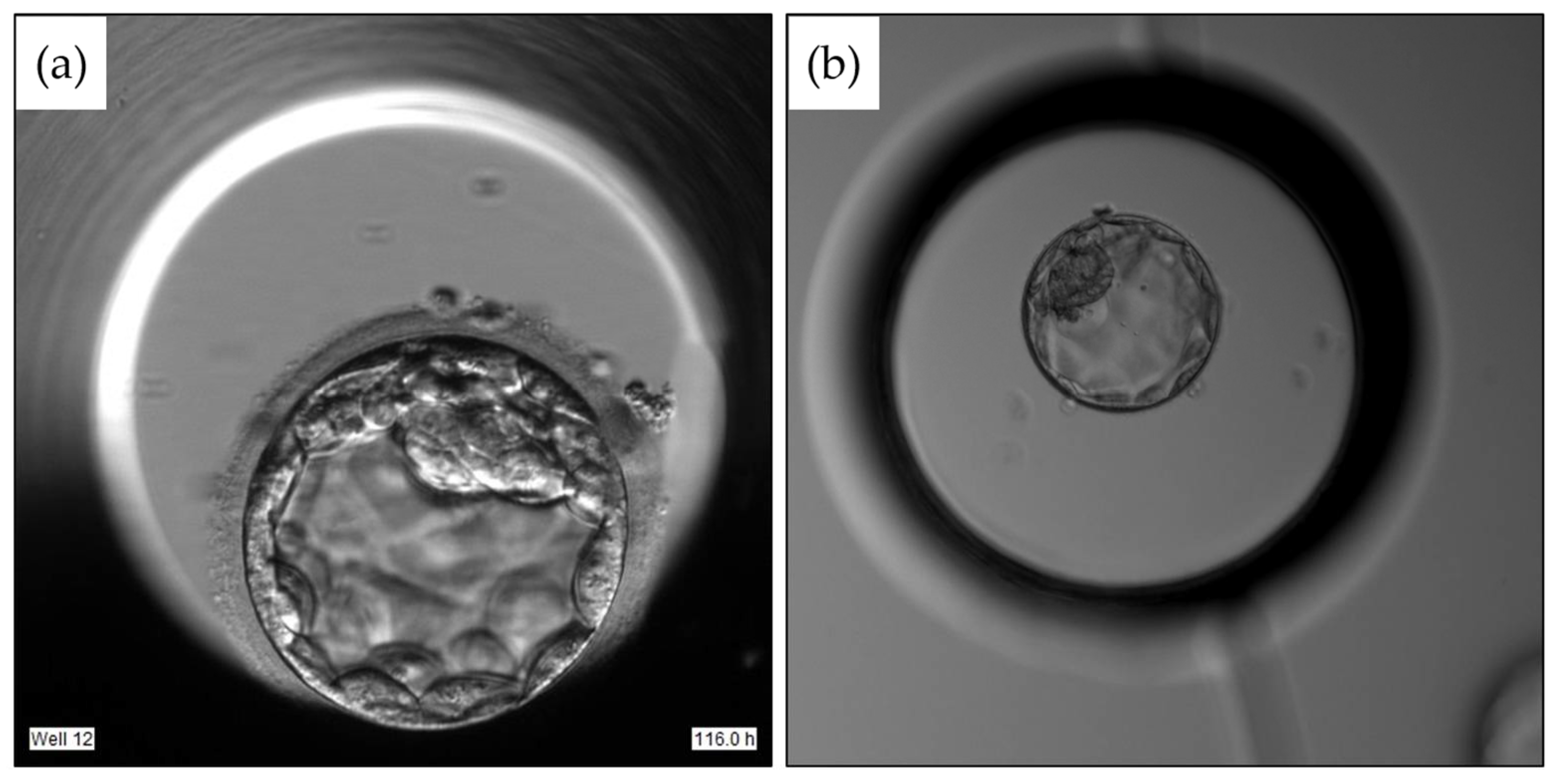 Applsci 12 03531 g001