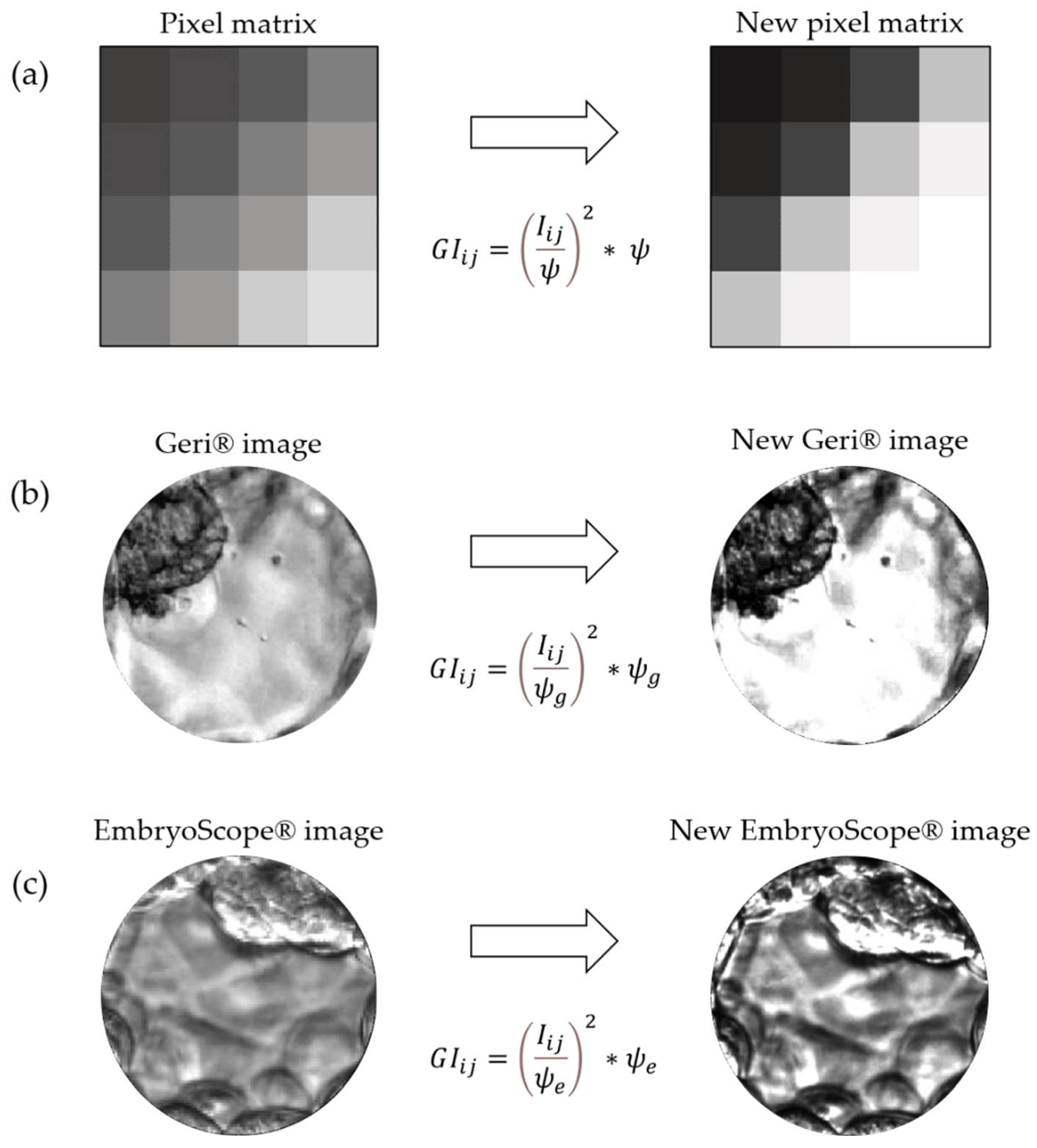 Applsci 12 03531 g012