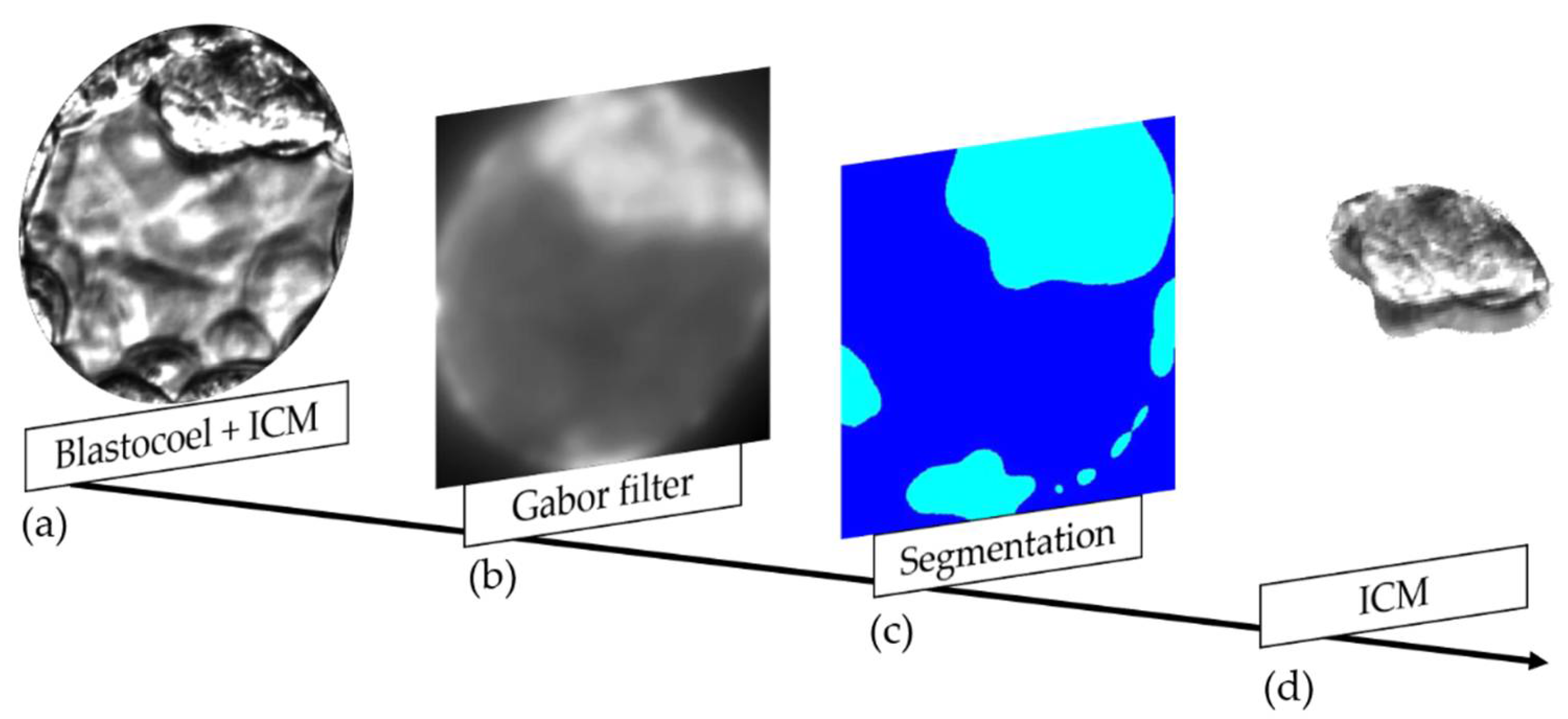 Applsci 12 03531 g016