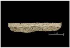 Applsci 12 03542 i001