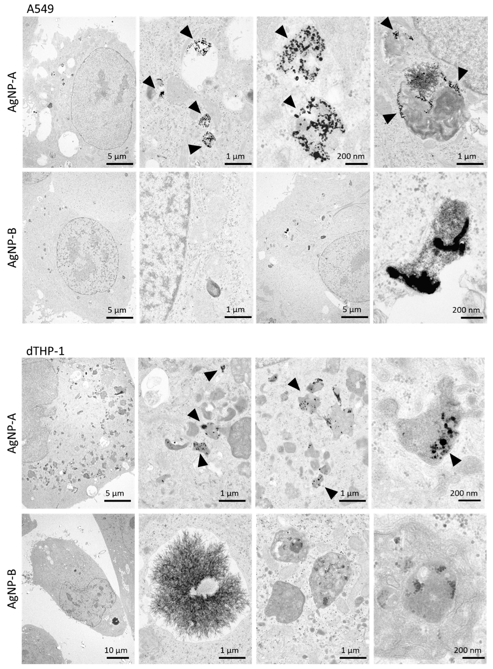 Applsci 12 03554 g001