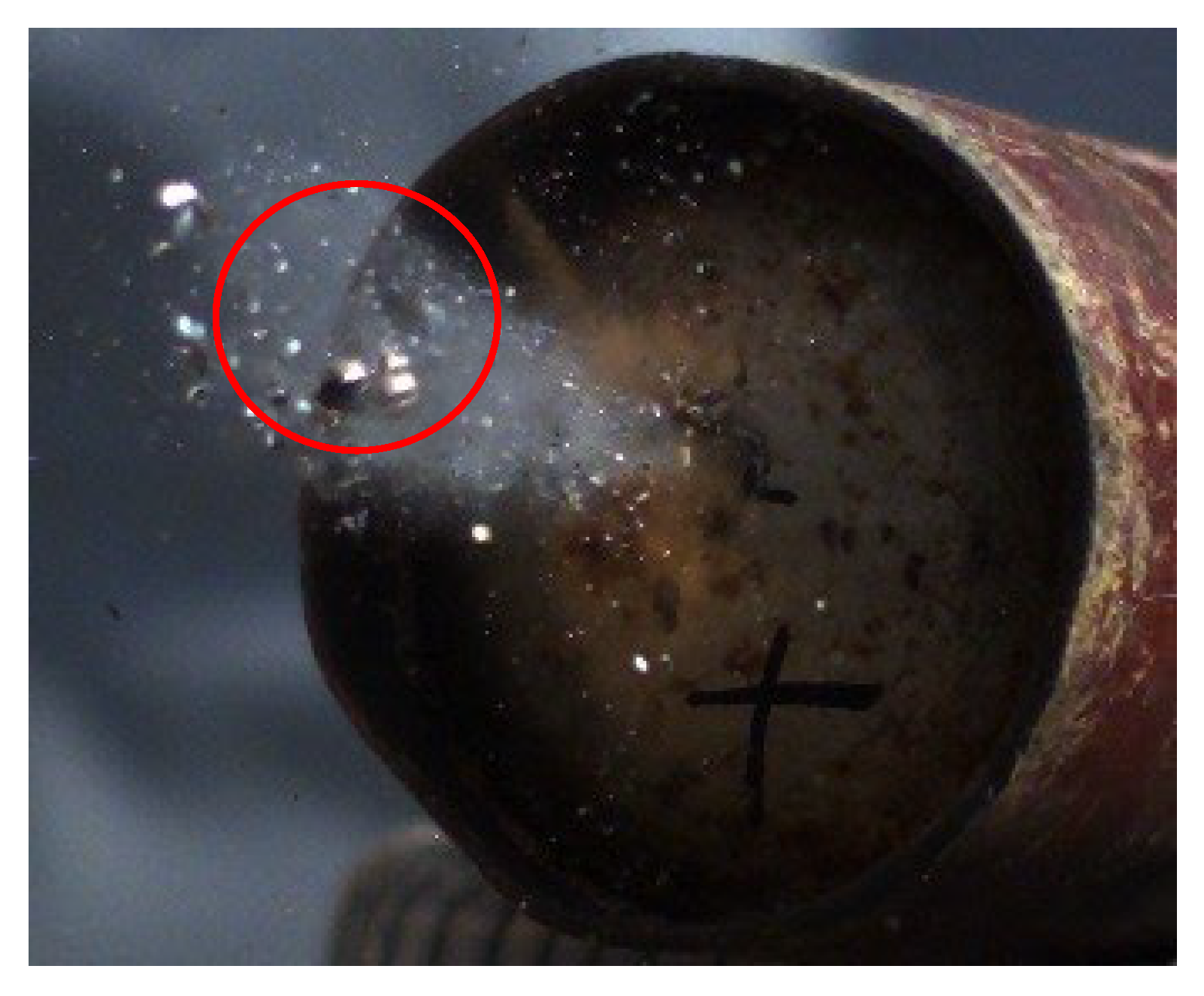 Applsci 12 03577 g005