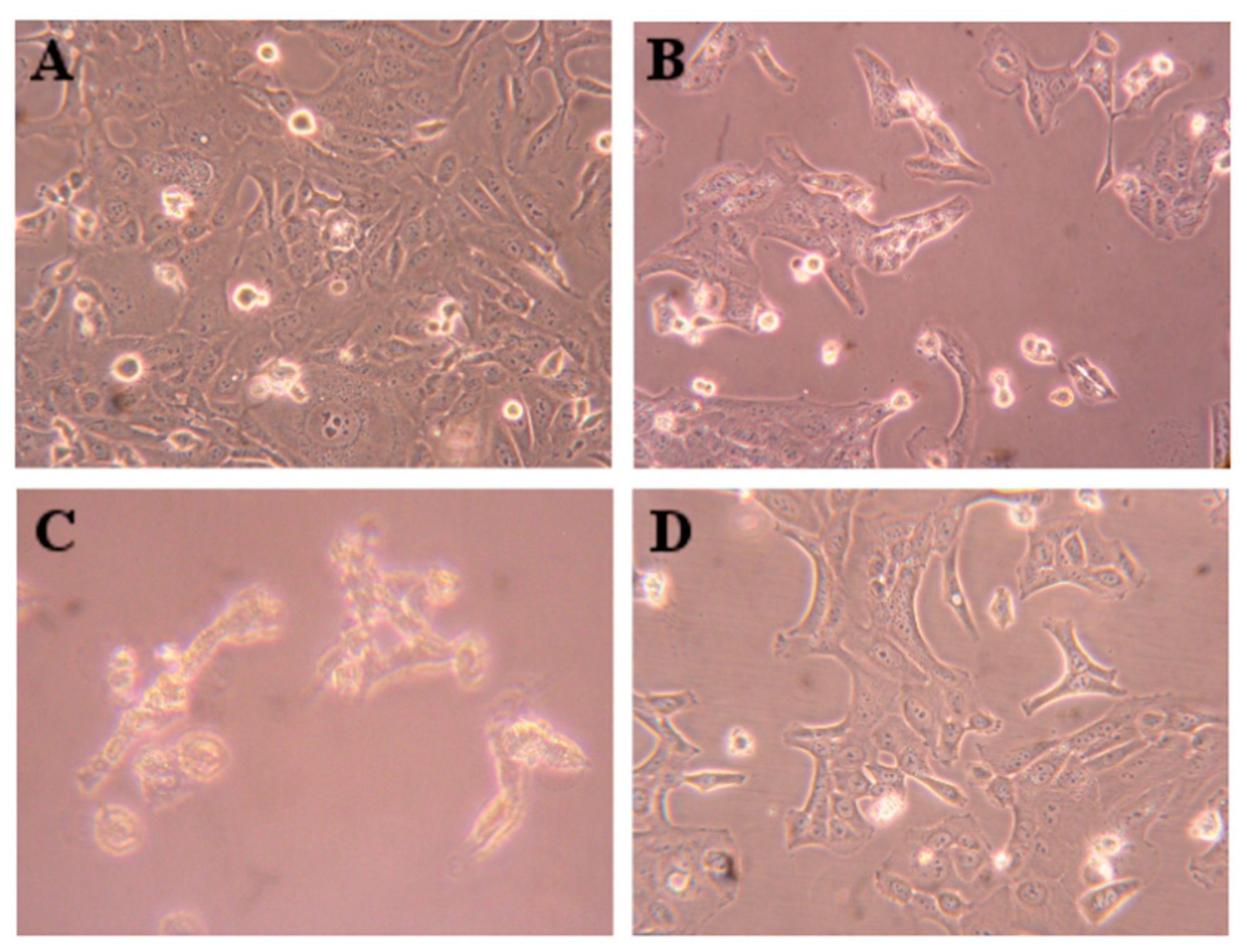 Applsci 12 03579 g005 Applsci 12 03579 g005