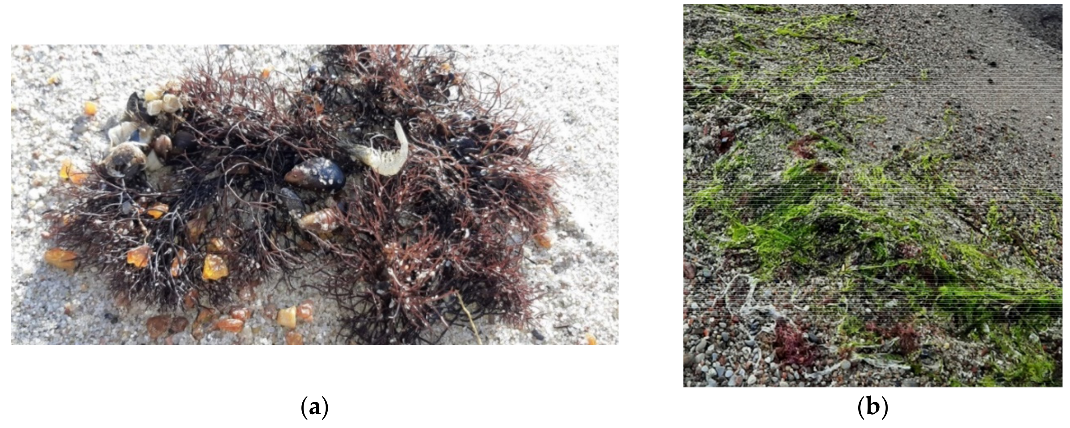 Applsci 12 03599 g001