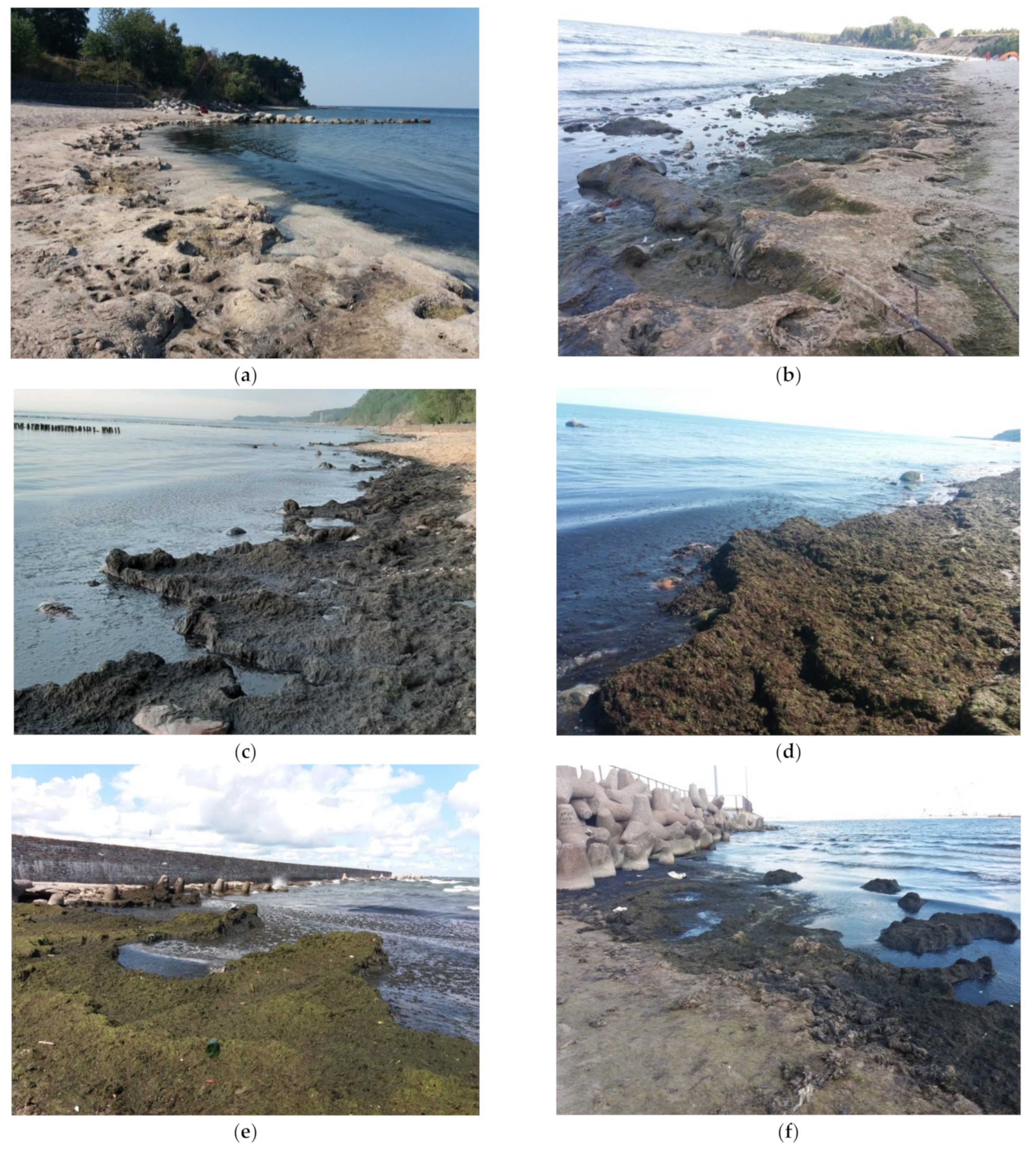 Applsci 12 03599 g002