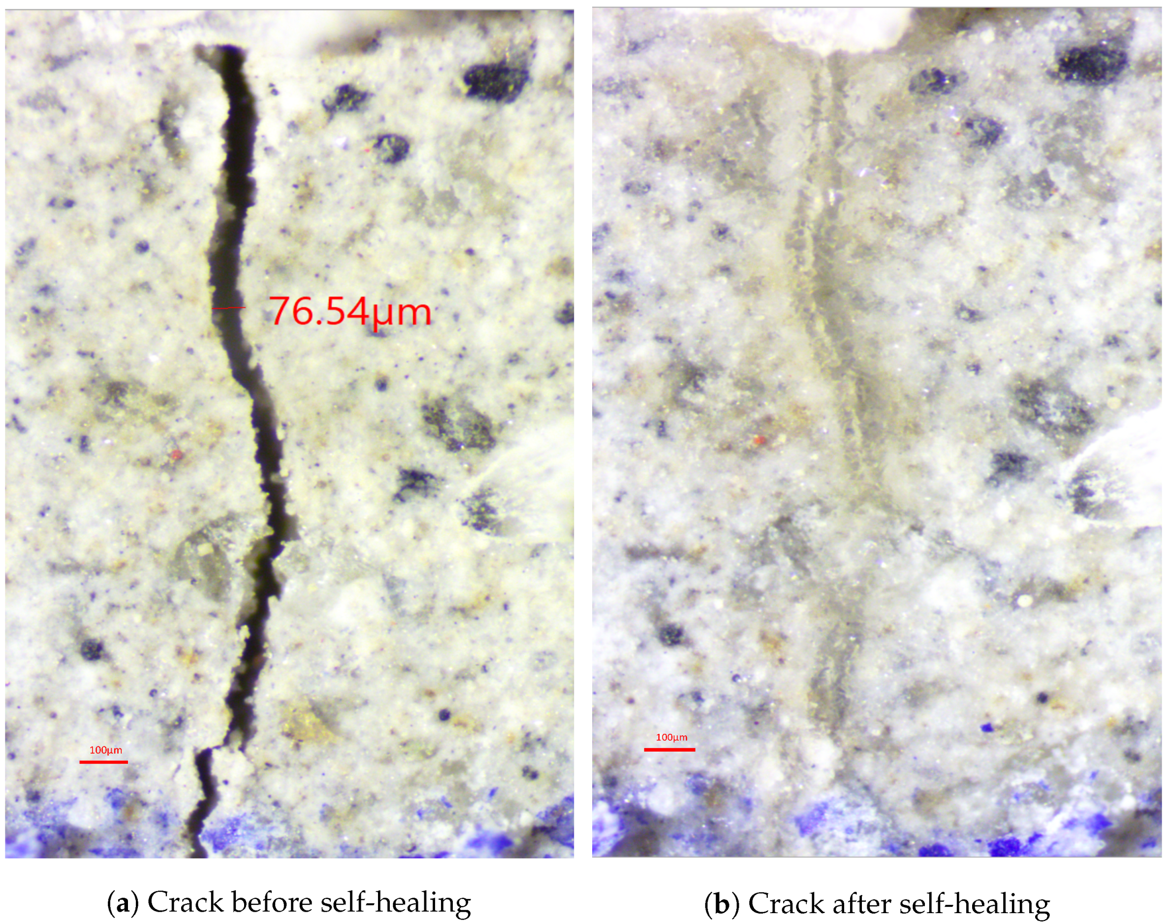 Applsci 12 03605 g004