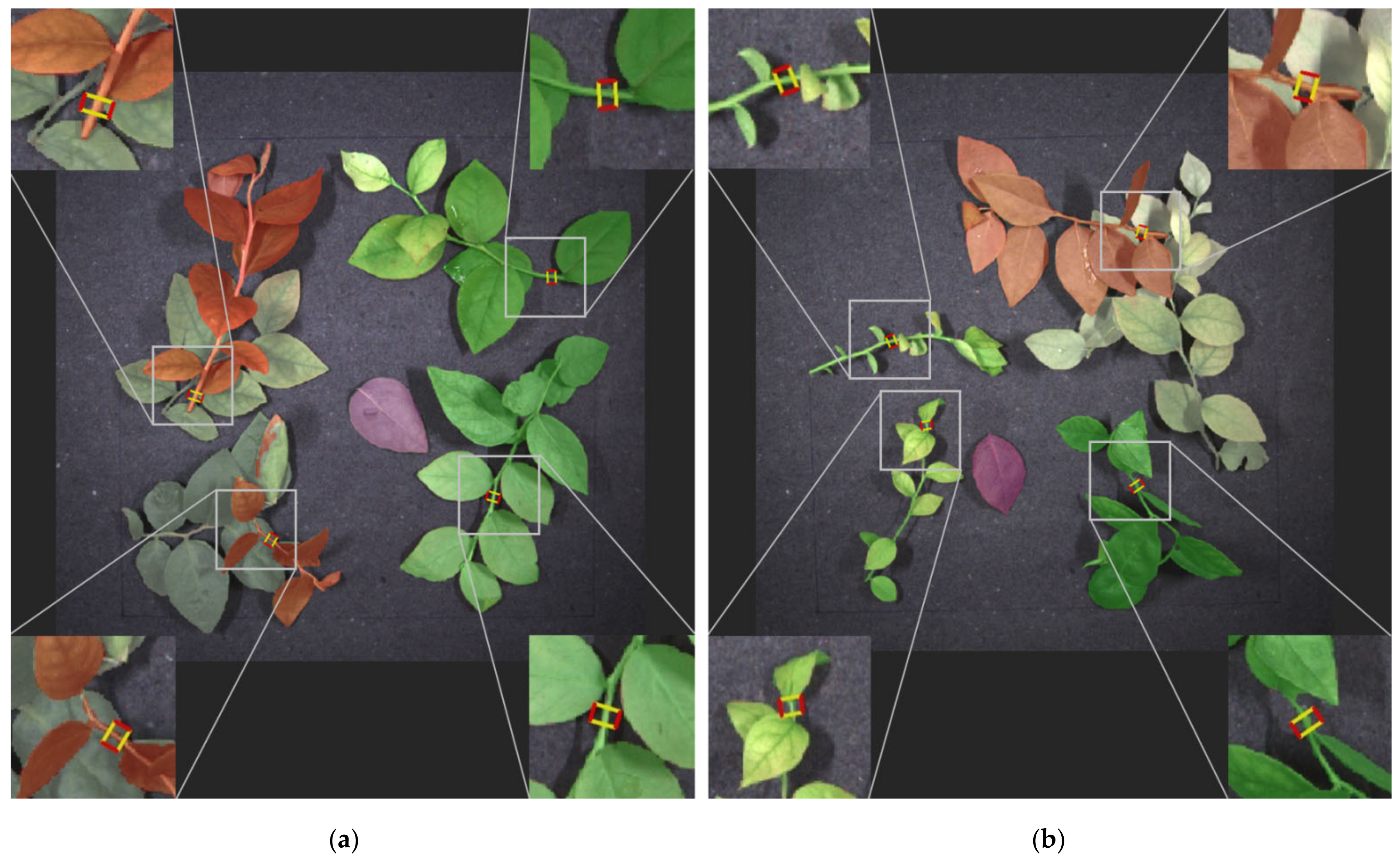 Applsci 12 03655 g010