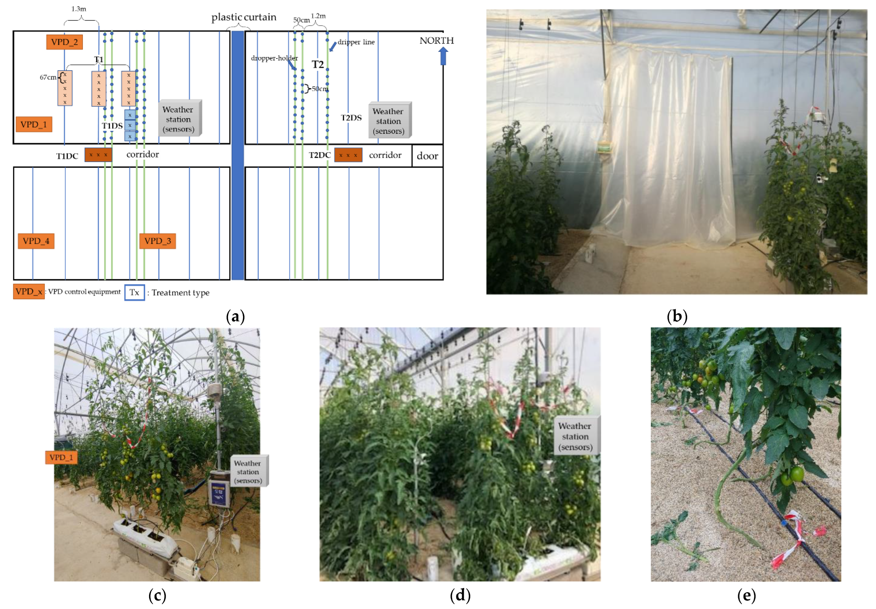 Applsci 12 03667 g001