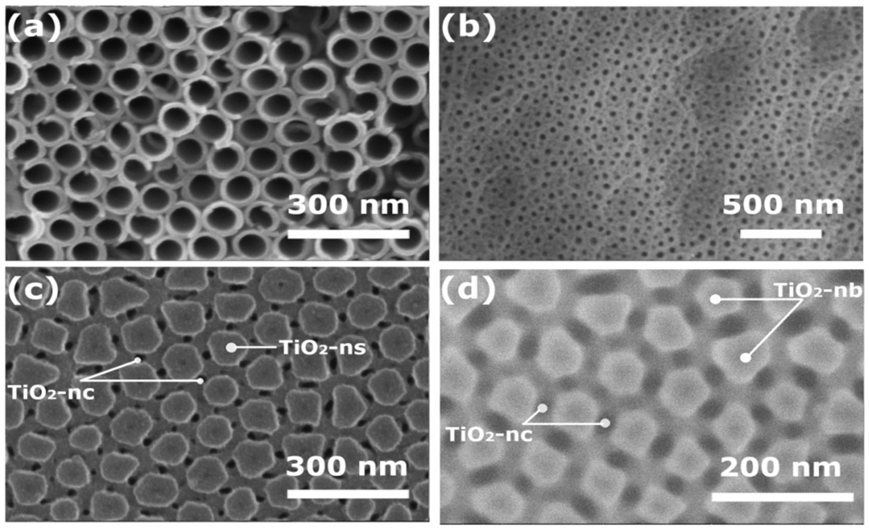 Applsci 12 03690 g002