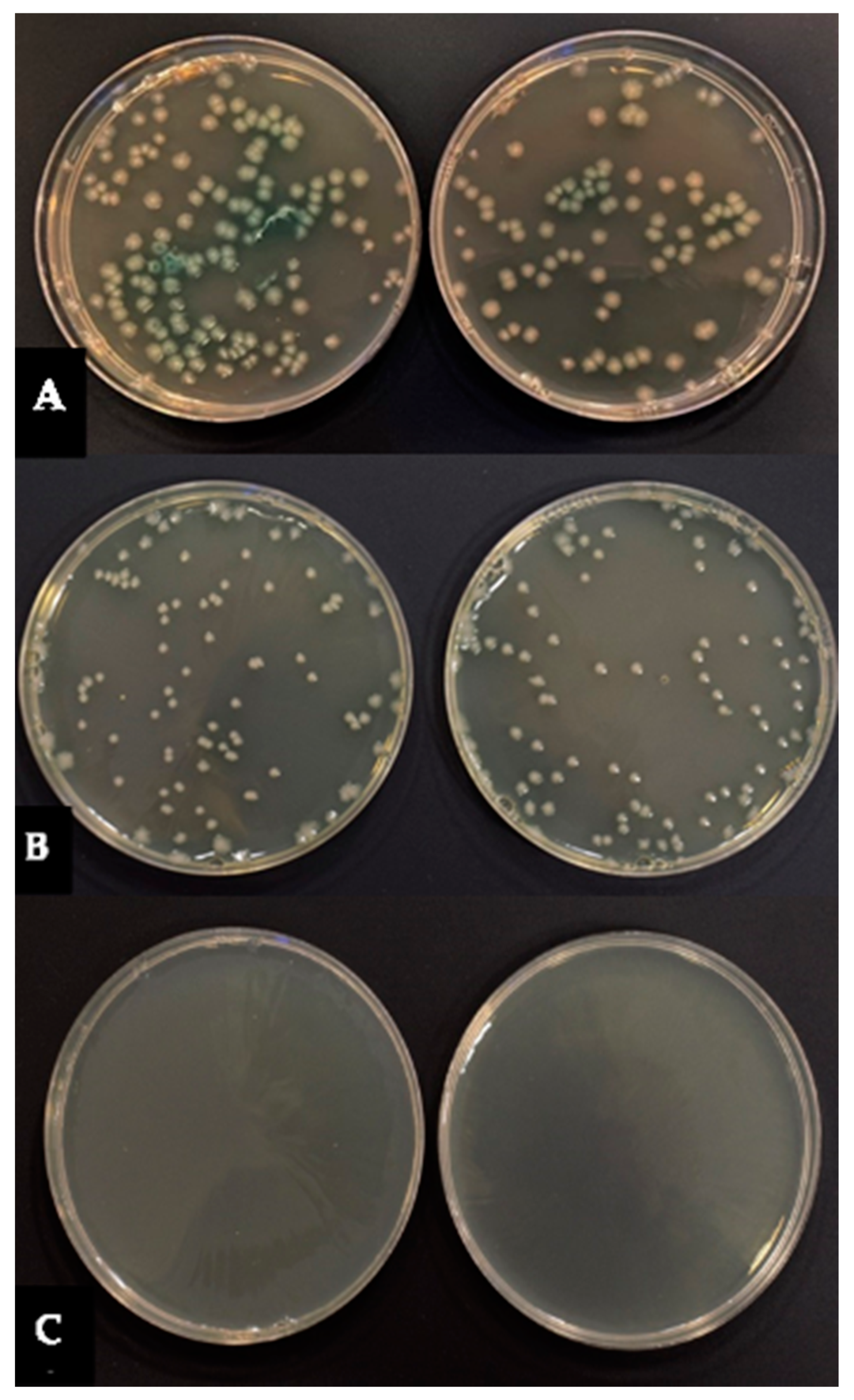 Applsci 12 03707 g002