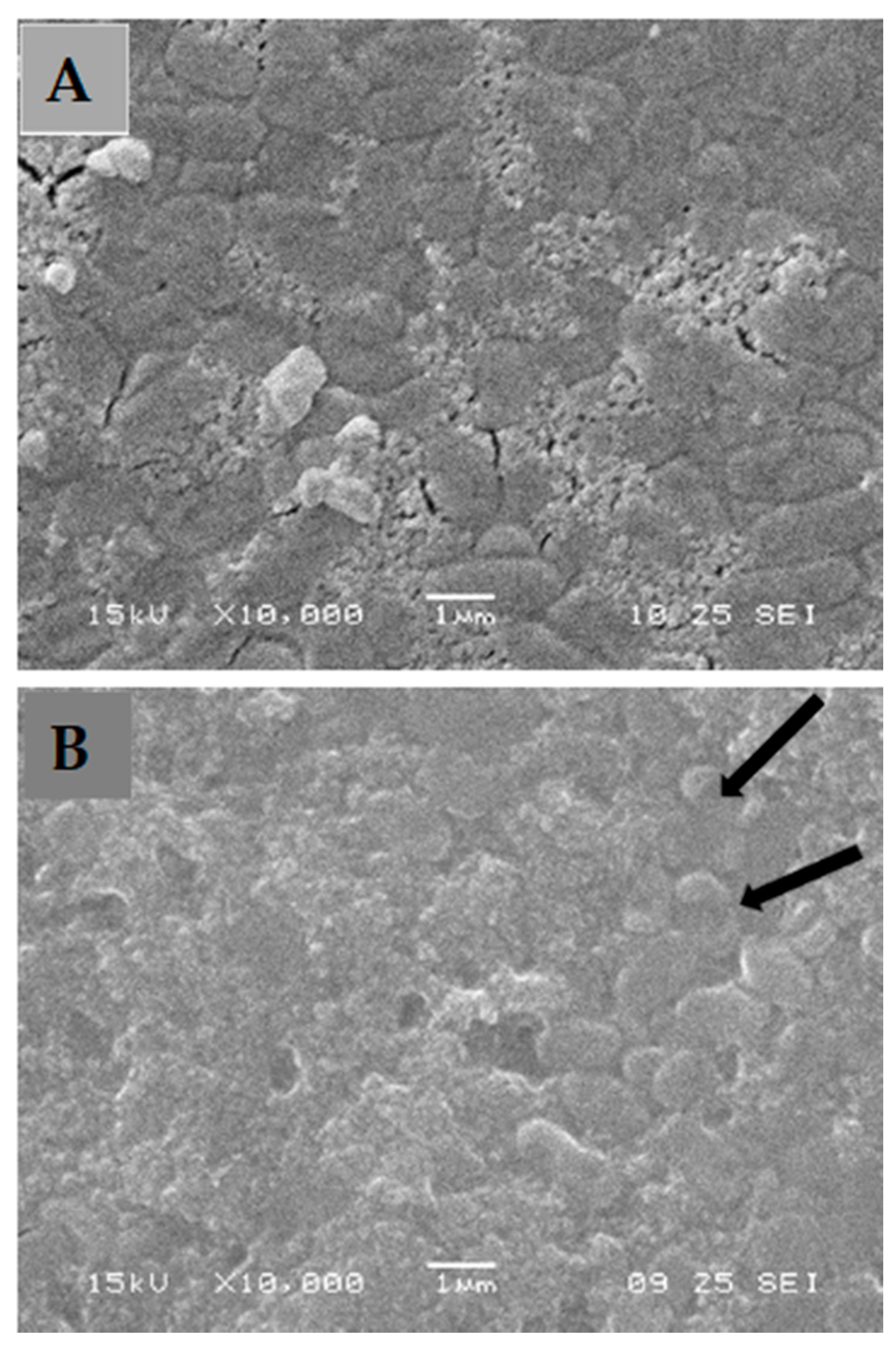 Applsci 12 03707 g005