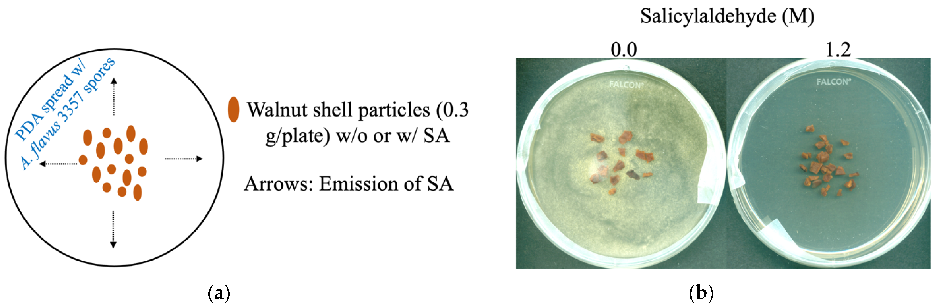 Applsci 12 03749 g001