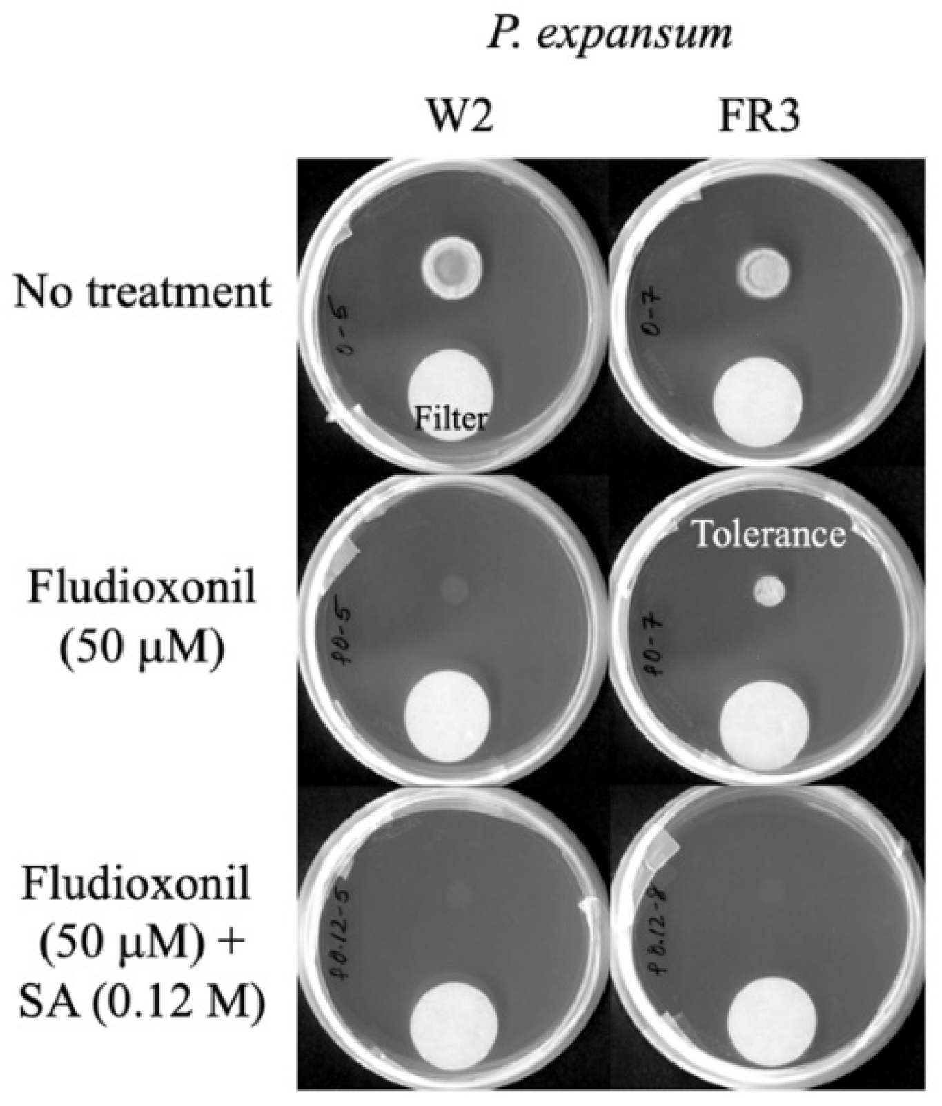 Applsci 12 03749 g002