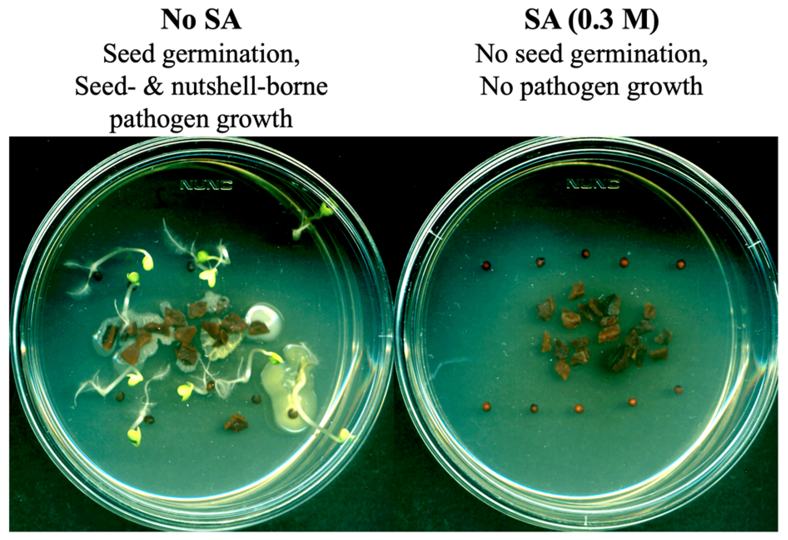 Applsci 12 03749 g003