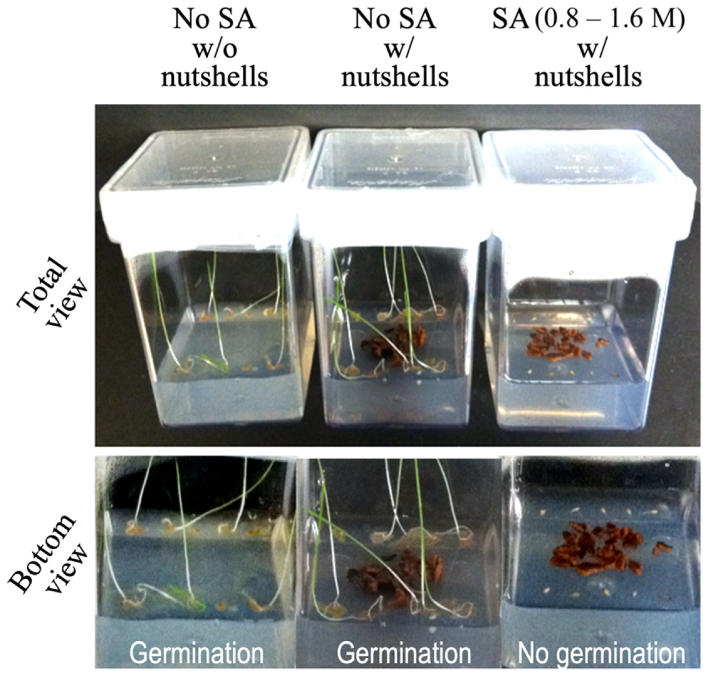 Applsci 12 03749 g004