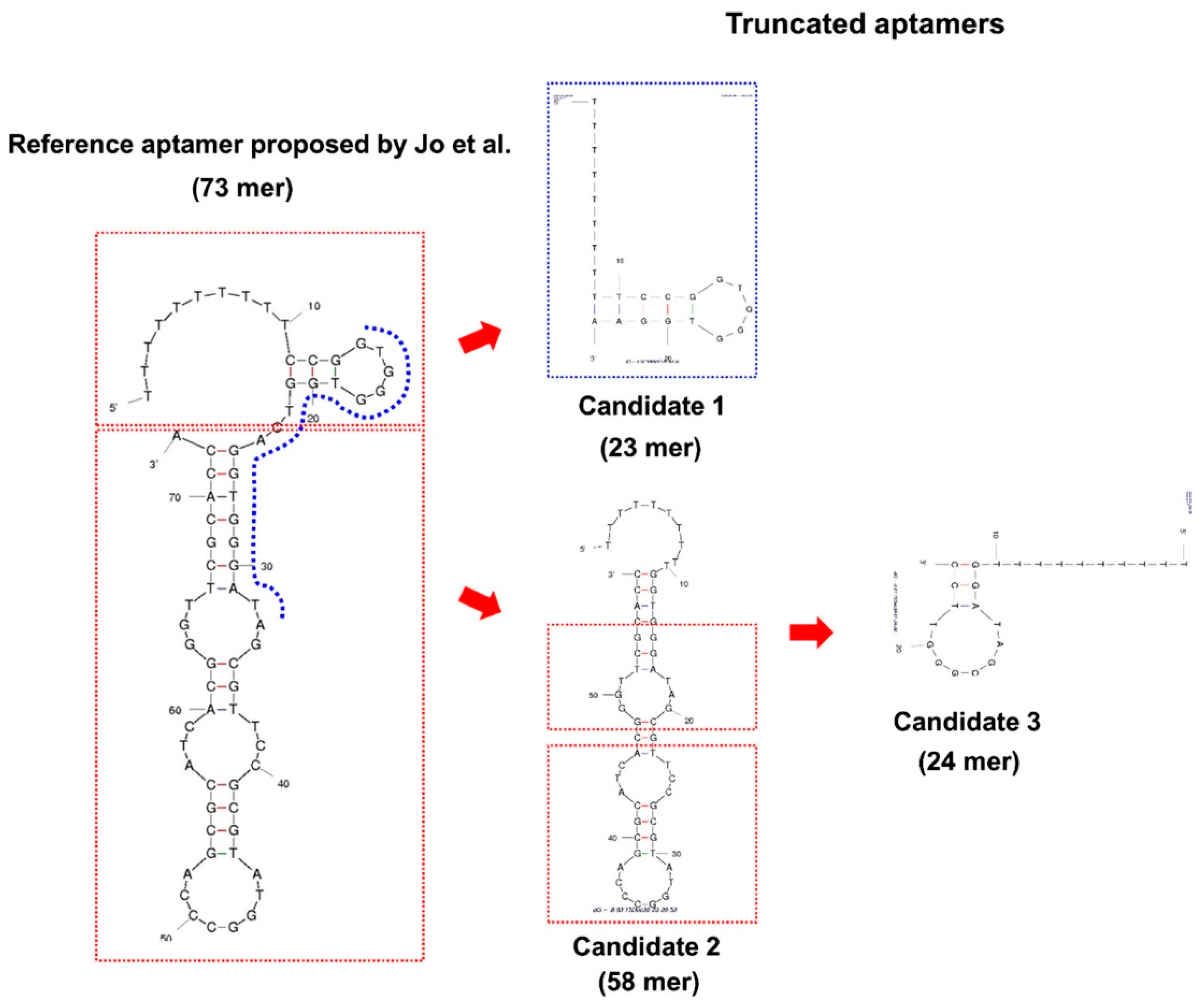 Applsci 12 03752 g003