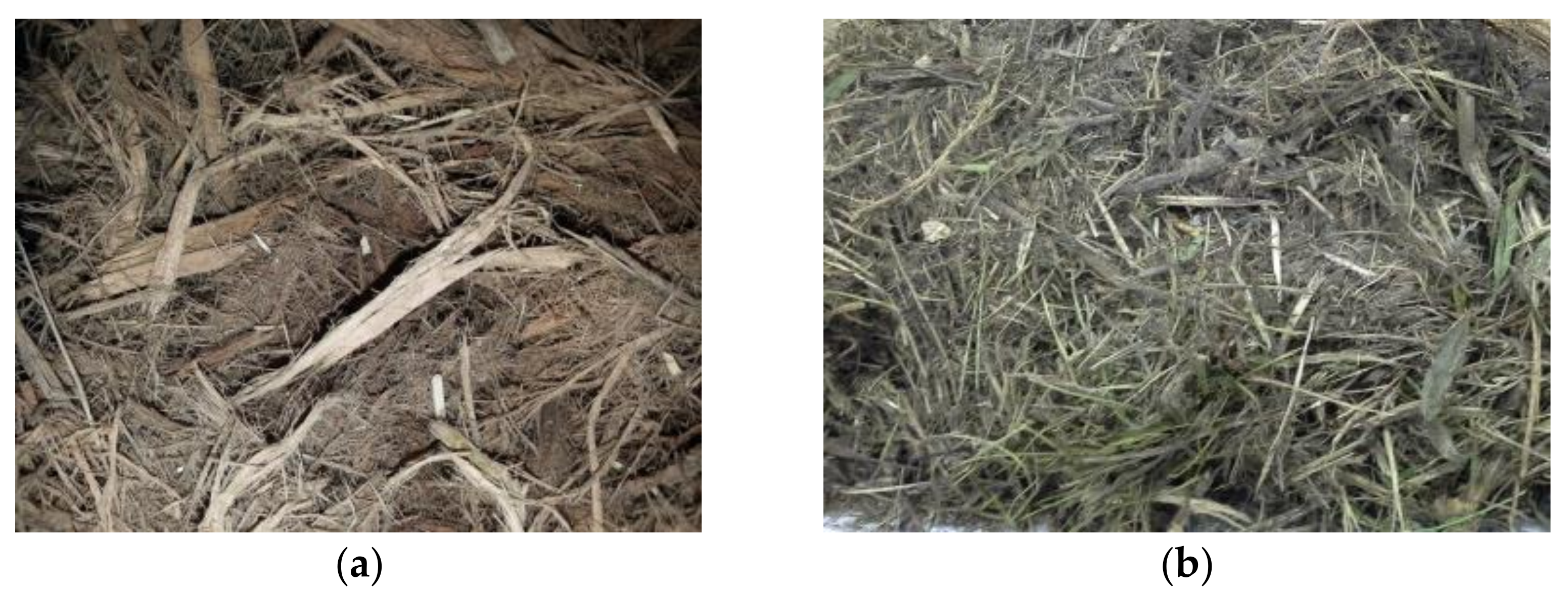 Applsci 12 03775 g001 Applsci 12 03775 g001