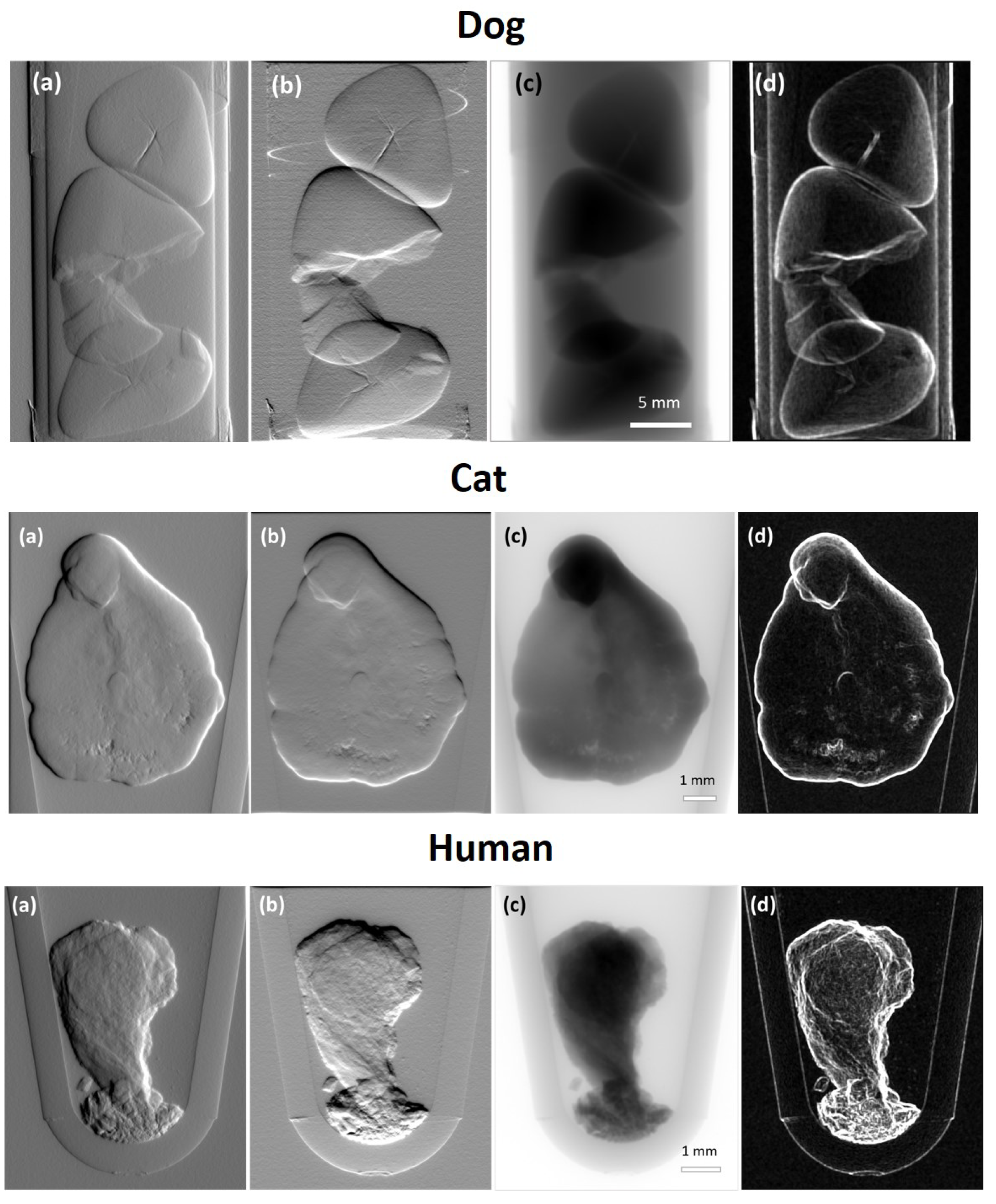 Applsci 12 03798 g004