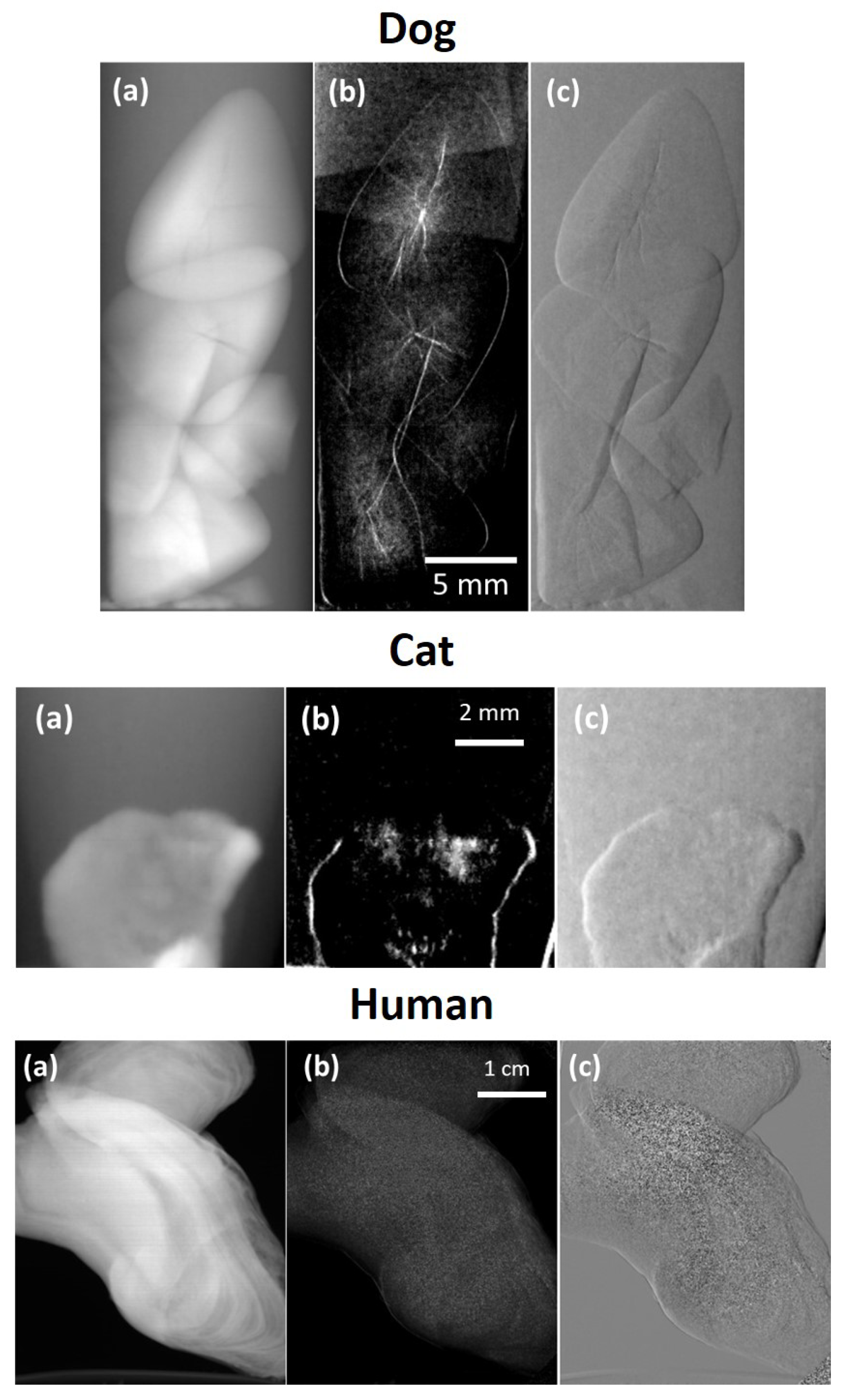 Applsci 12 03798 g005