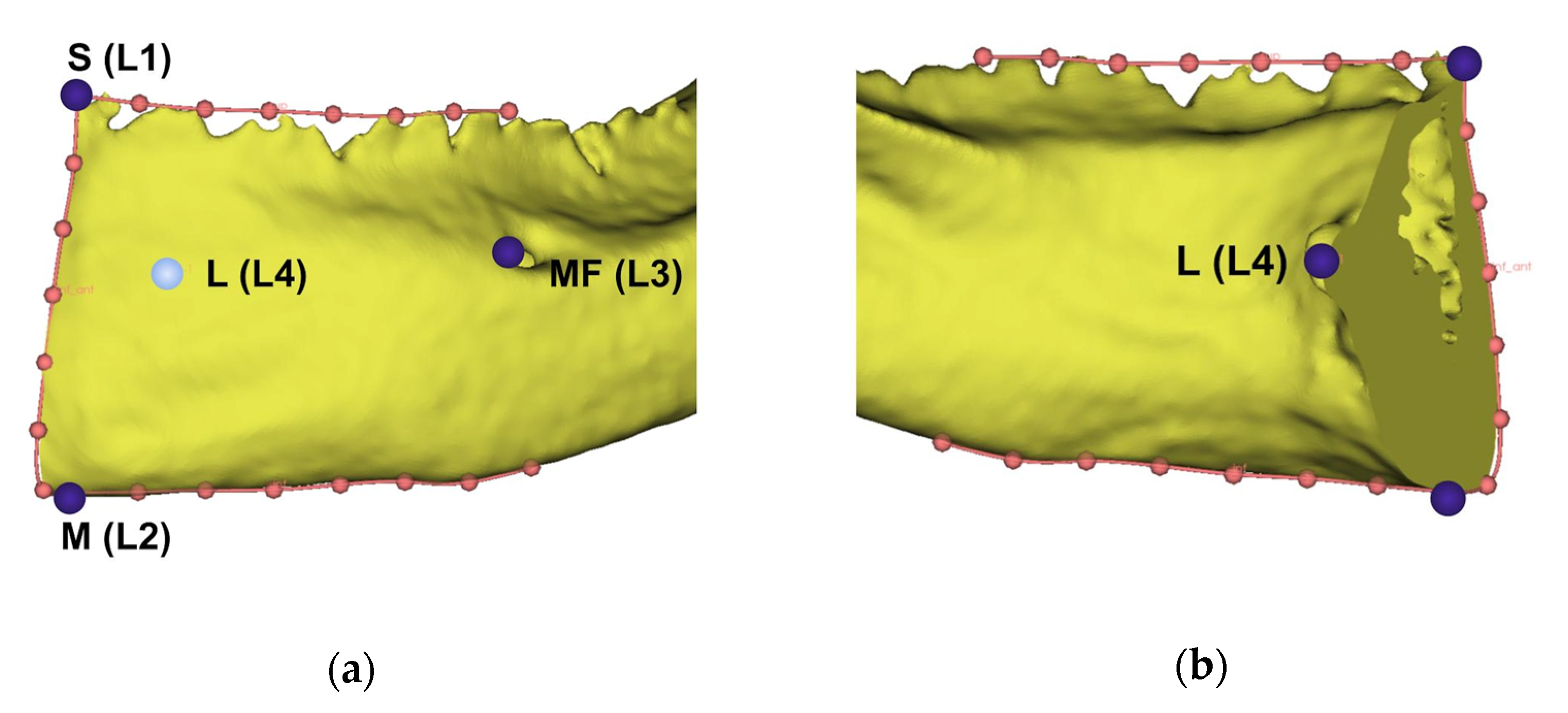 Applsci 12 03813 g002