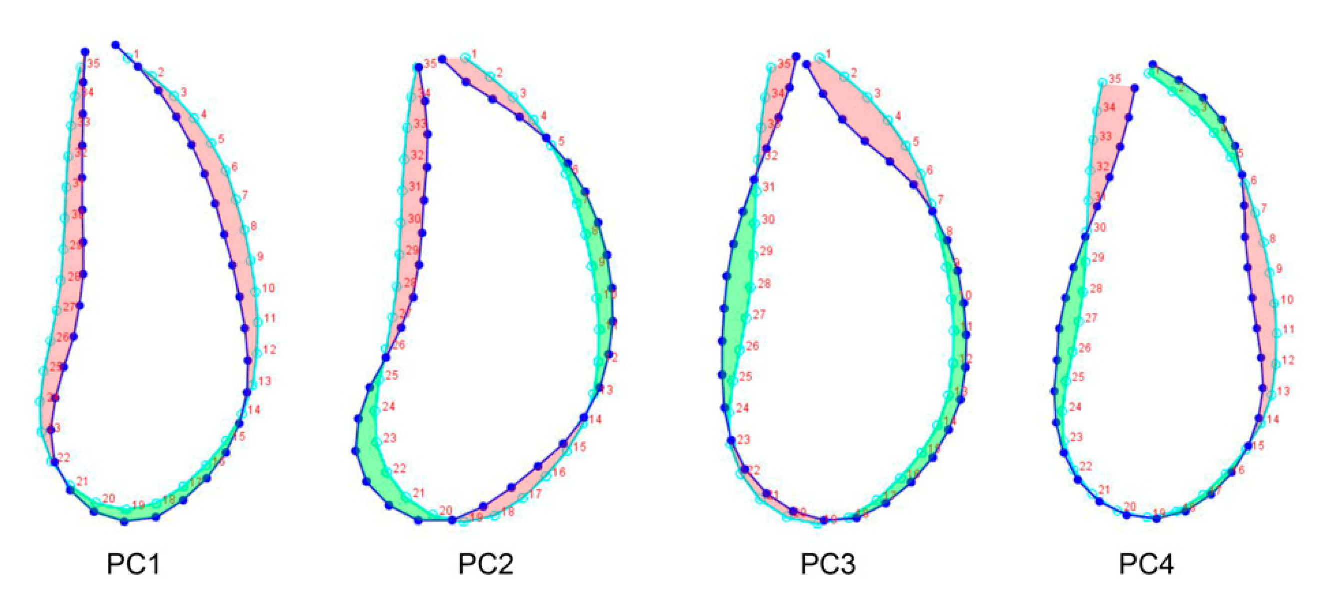 Applsci 12 03813 g003