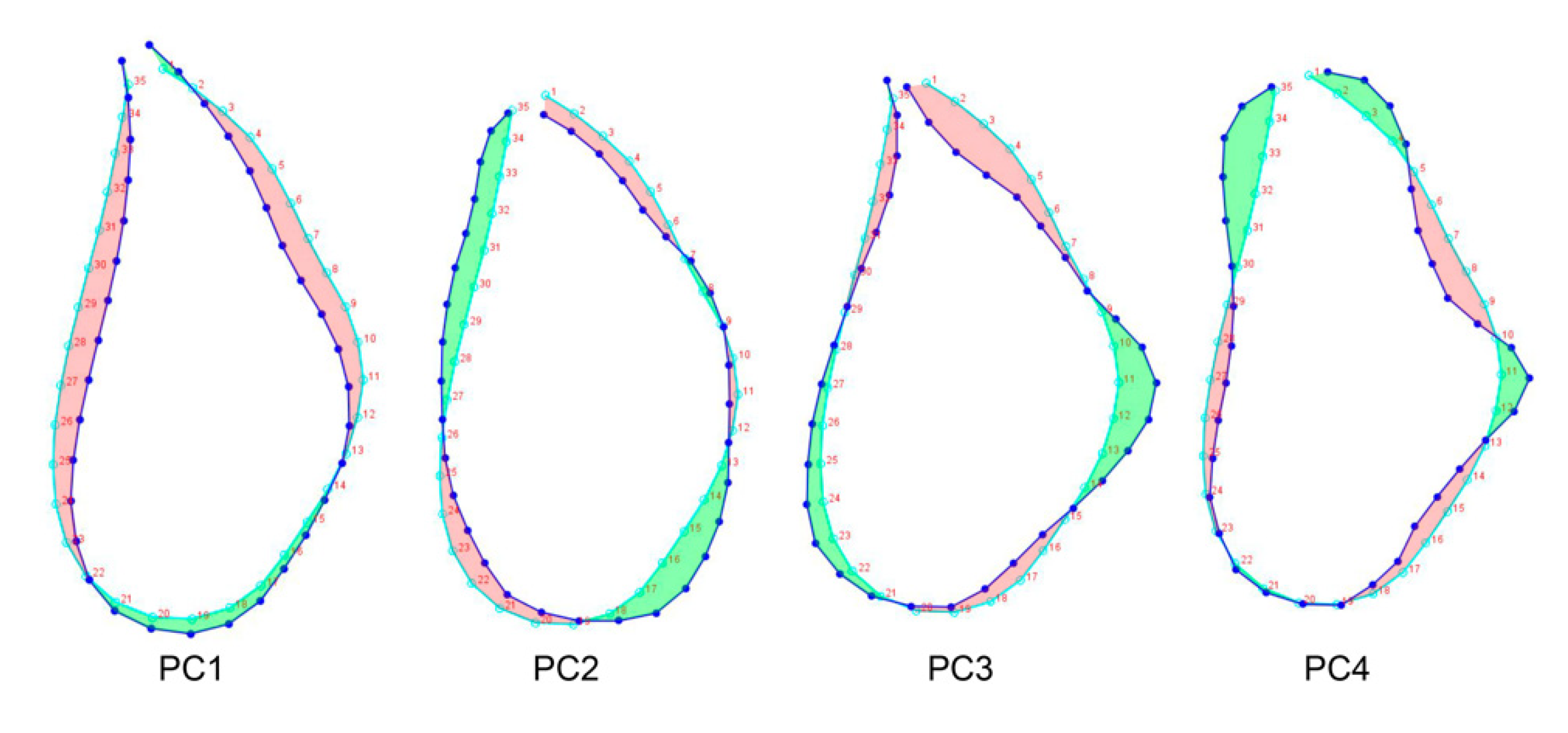 Applsci 12 03813 g004